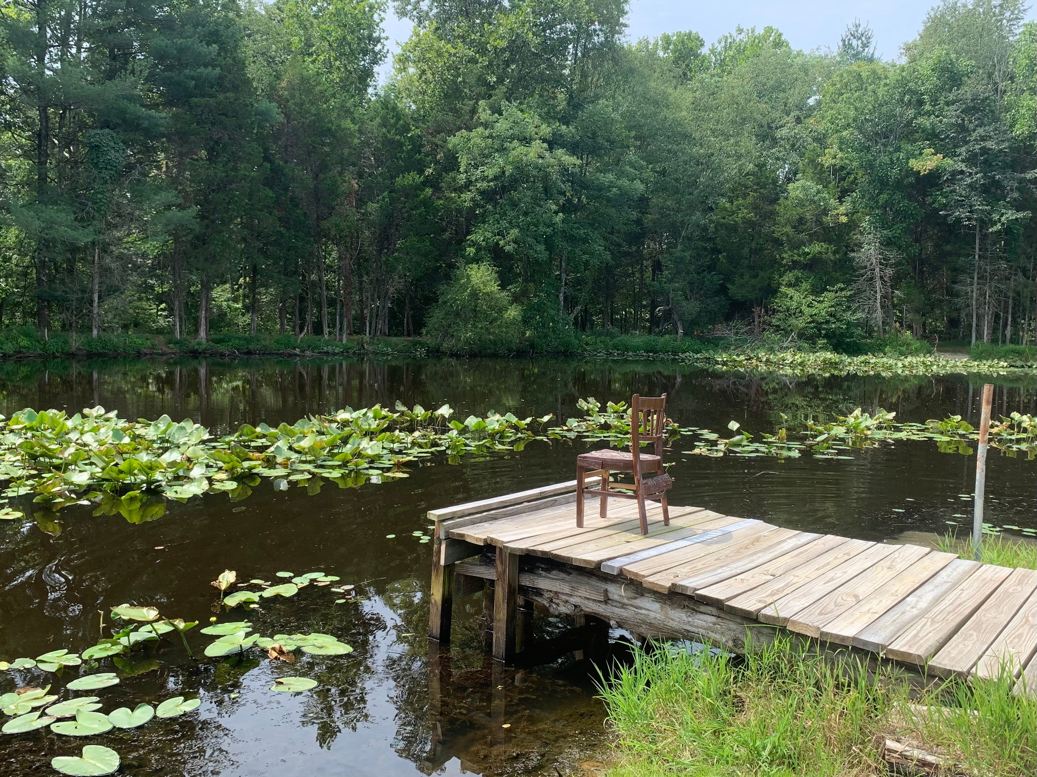 Fishing dock on the pond