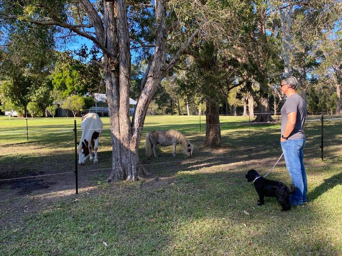 Silverview Escapes Tinbeerwah