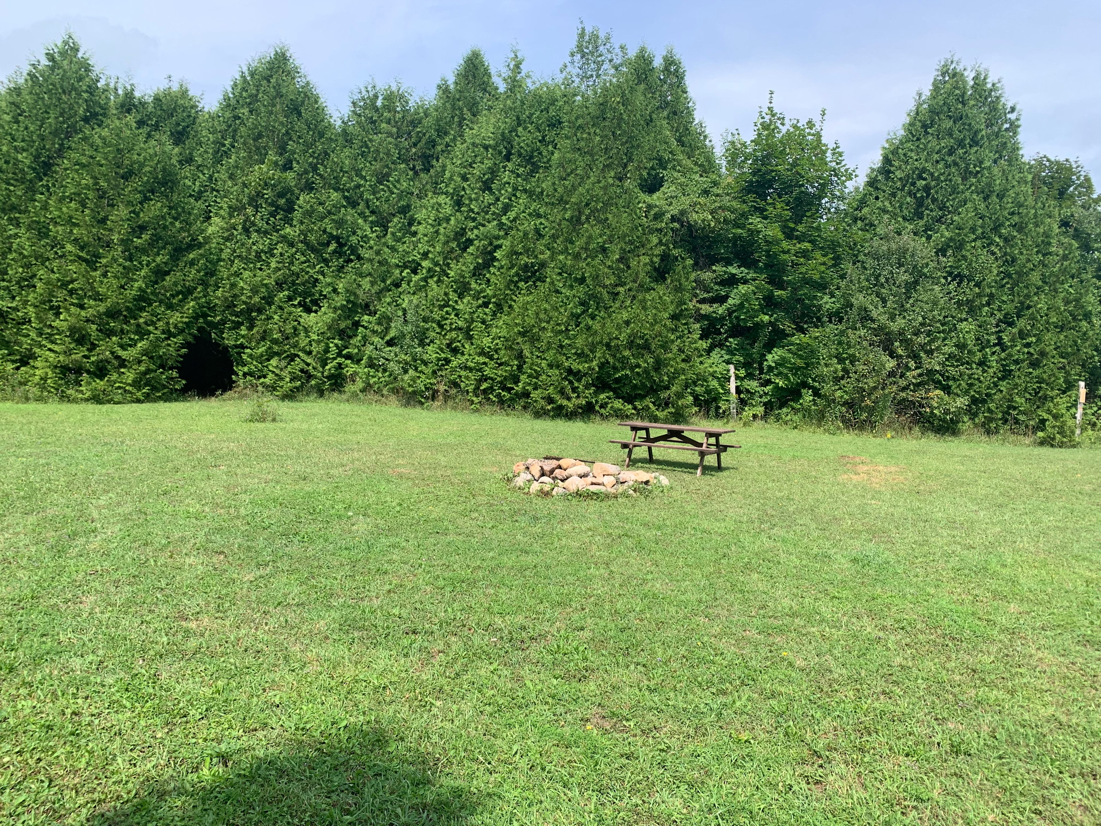 Site #1 Lake Level with an opening into the cedar forest for your hammock and shade 