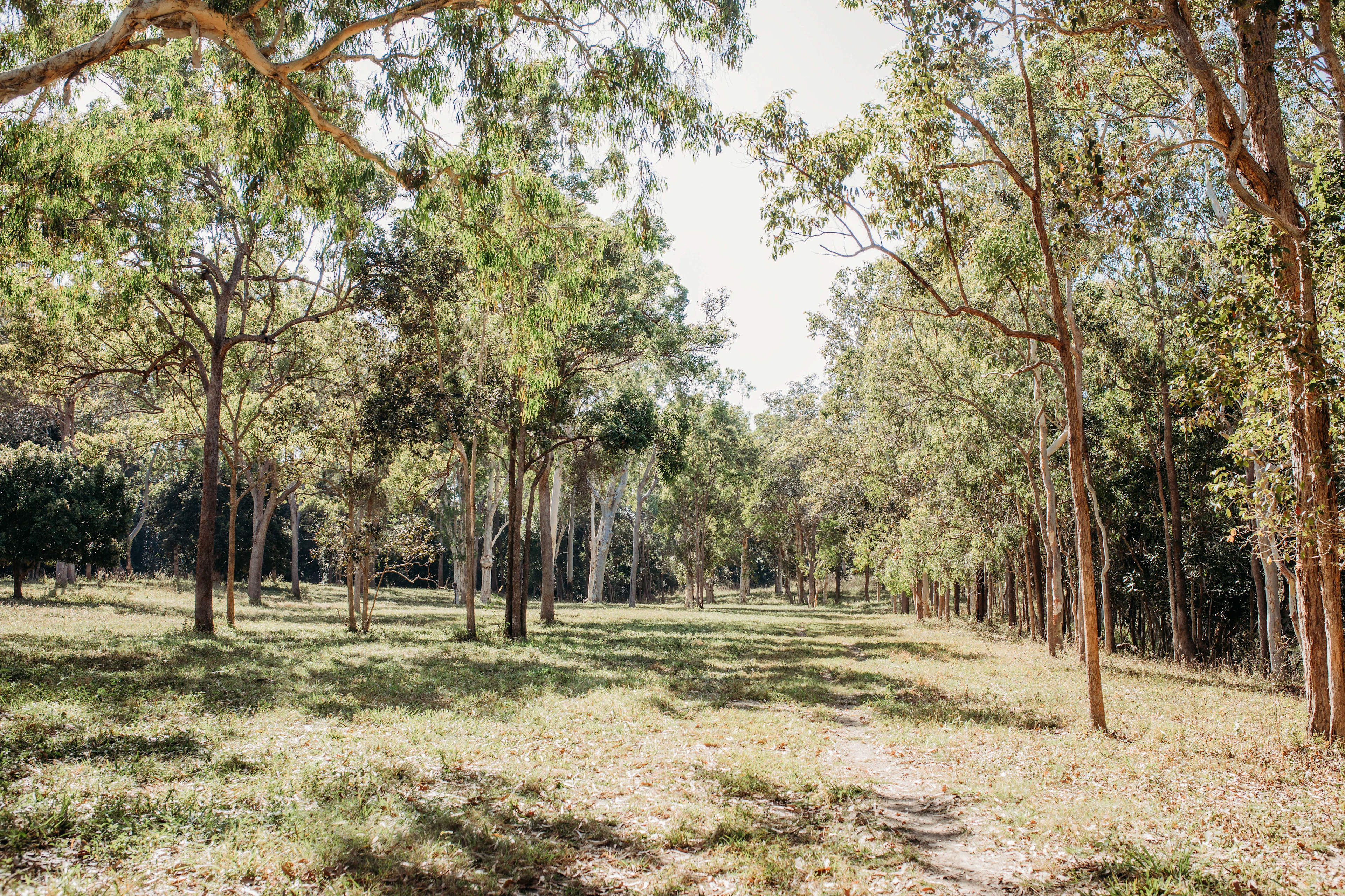 Ups n Downs, Bushland with Lagoon