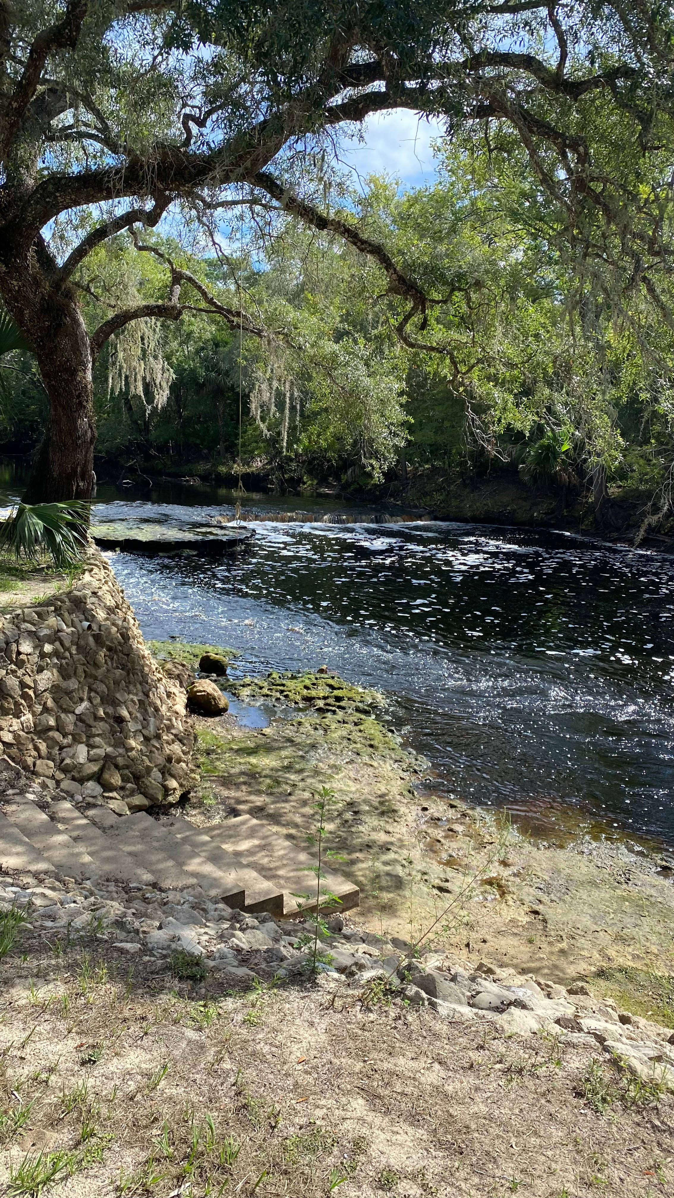 Steinhatchee Falls 
