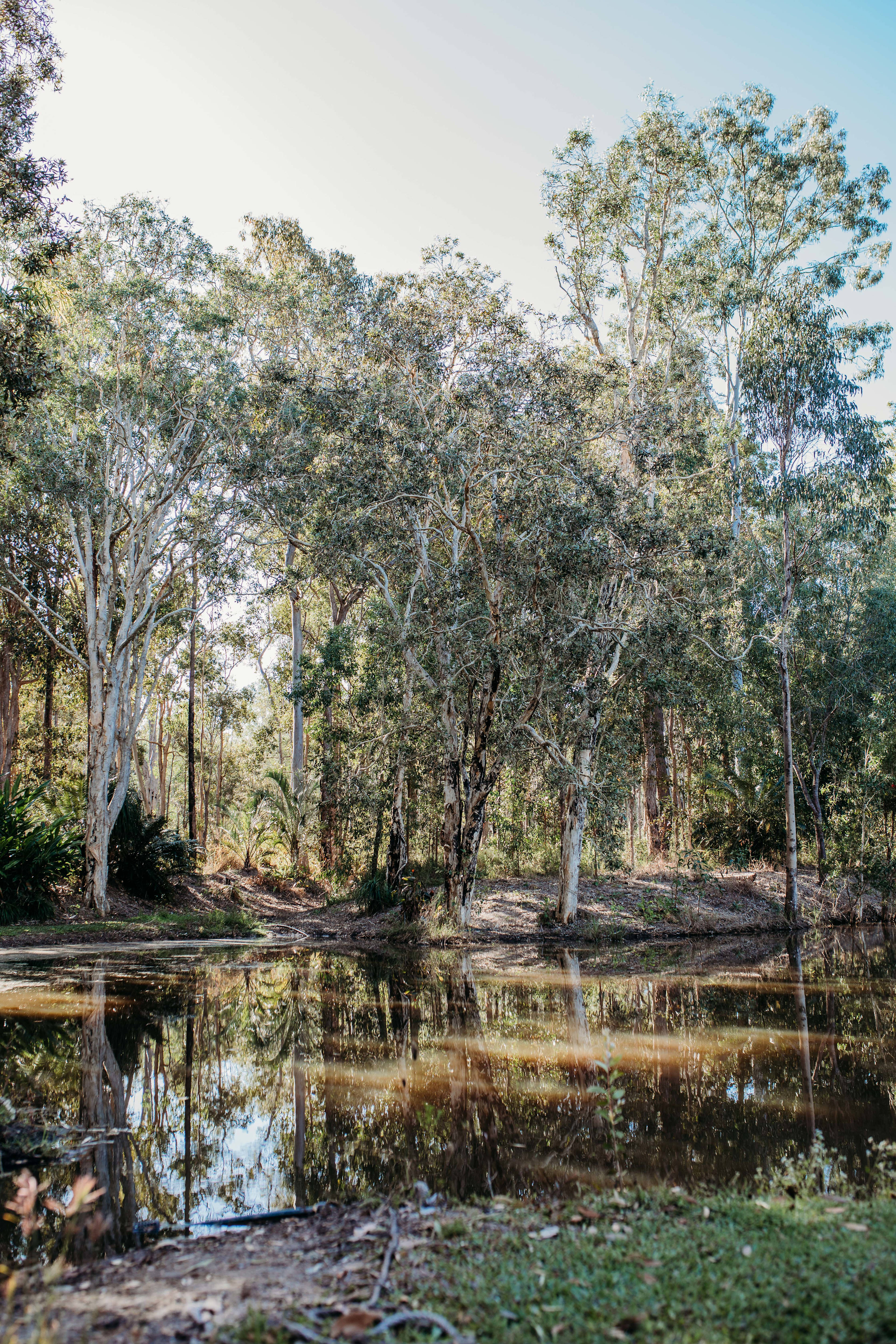 Collie Farm