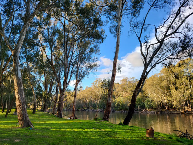 RiverLyne