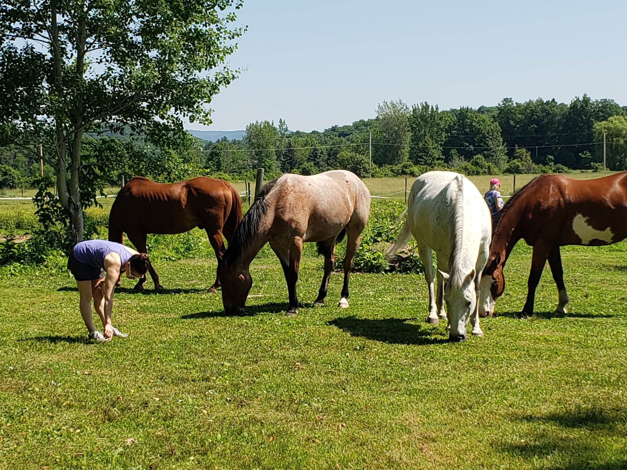 Weekly Wellness Dancing with Horses @ Heart and Heritage Stables