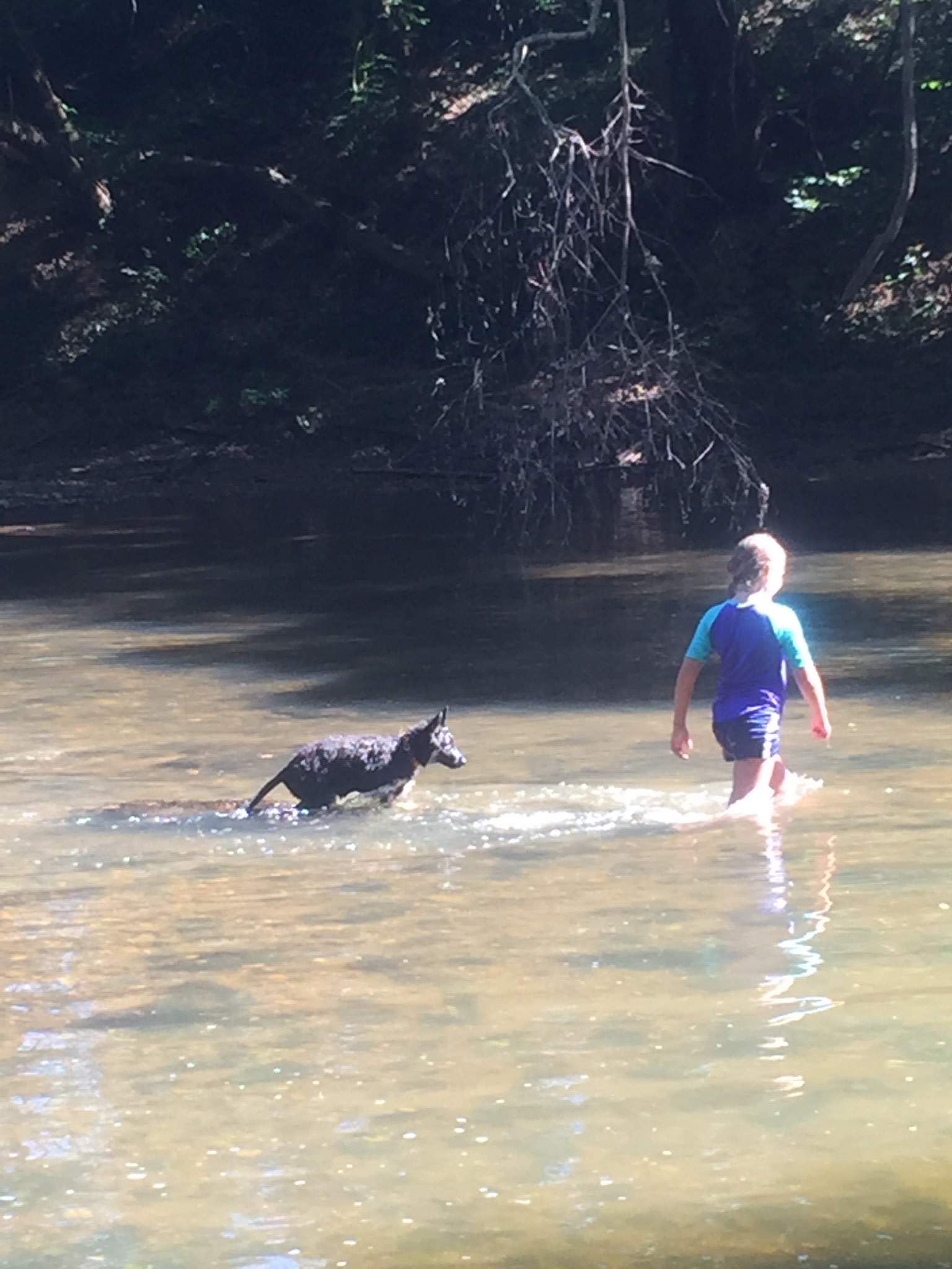 Down by the River