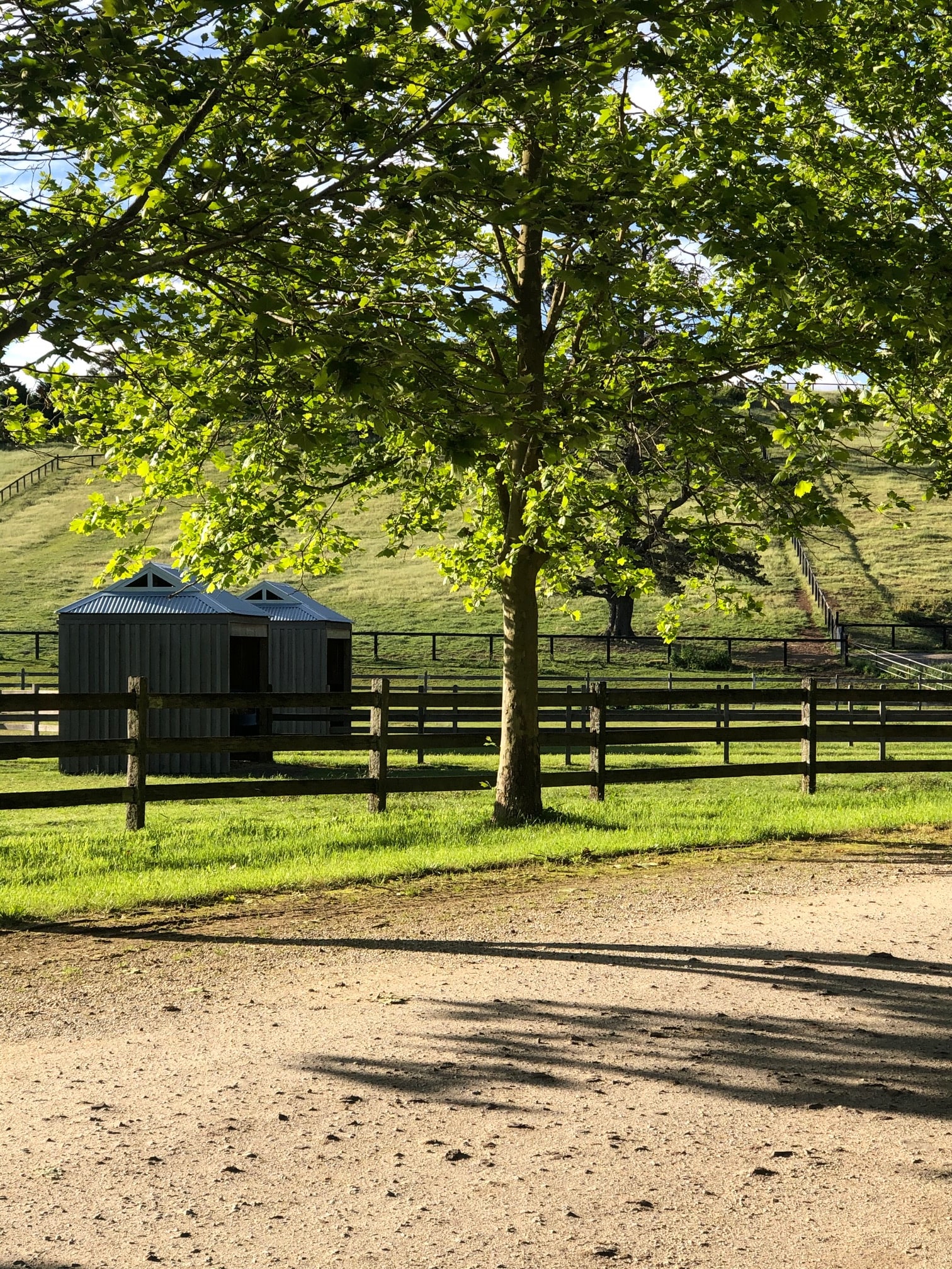 Sutton Farm Equestrian Centre