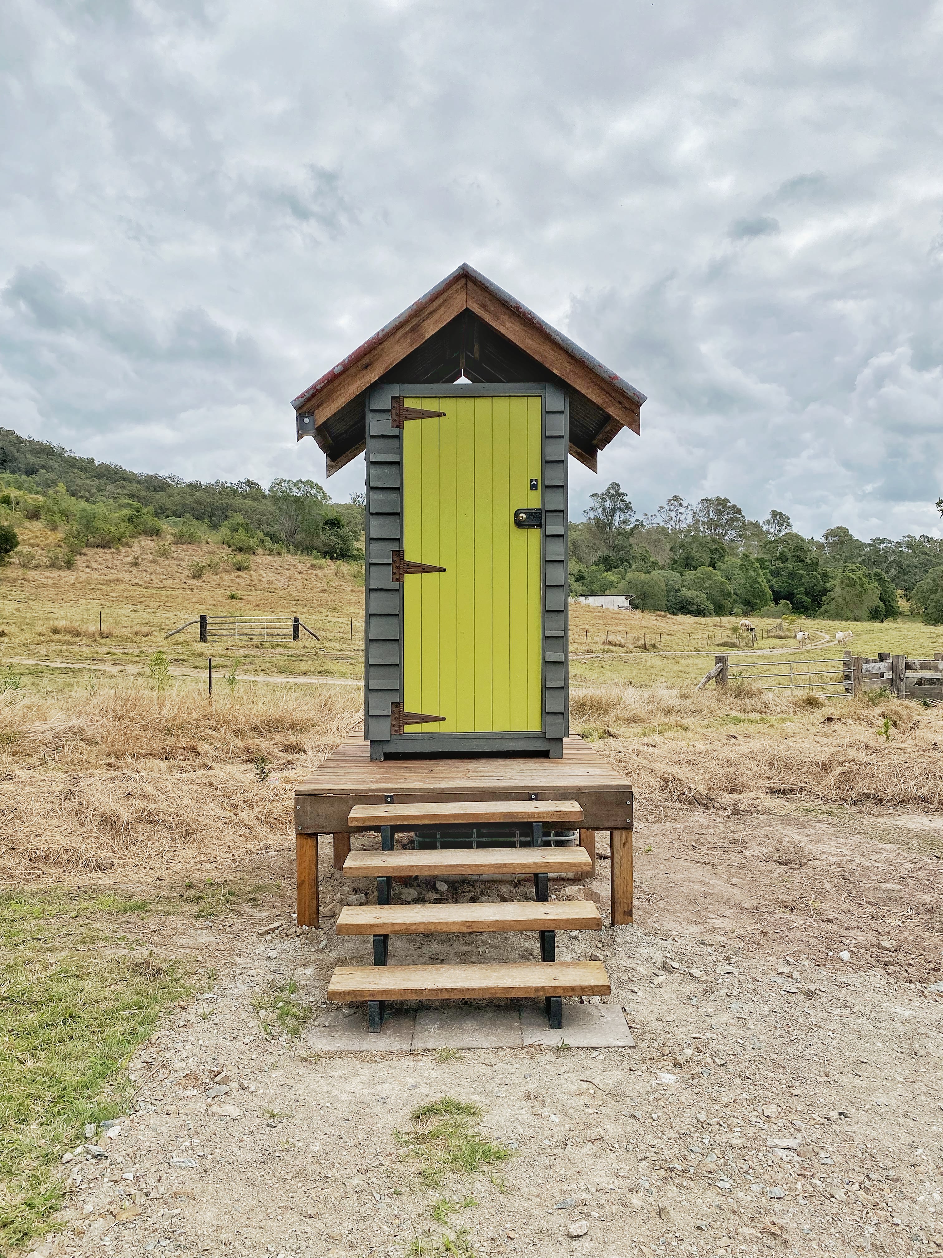 Cutest toilet you ever did see!
