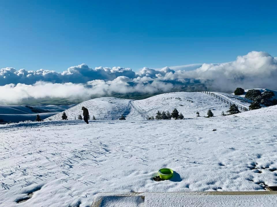 Storybook hilltop Retreat