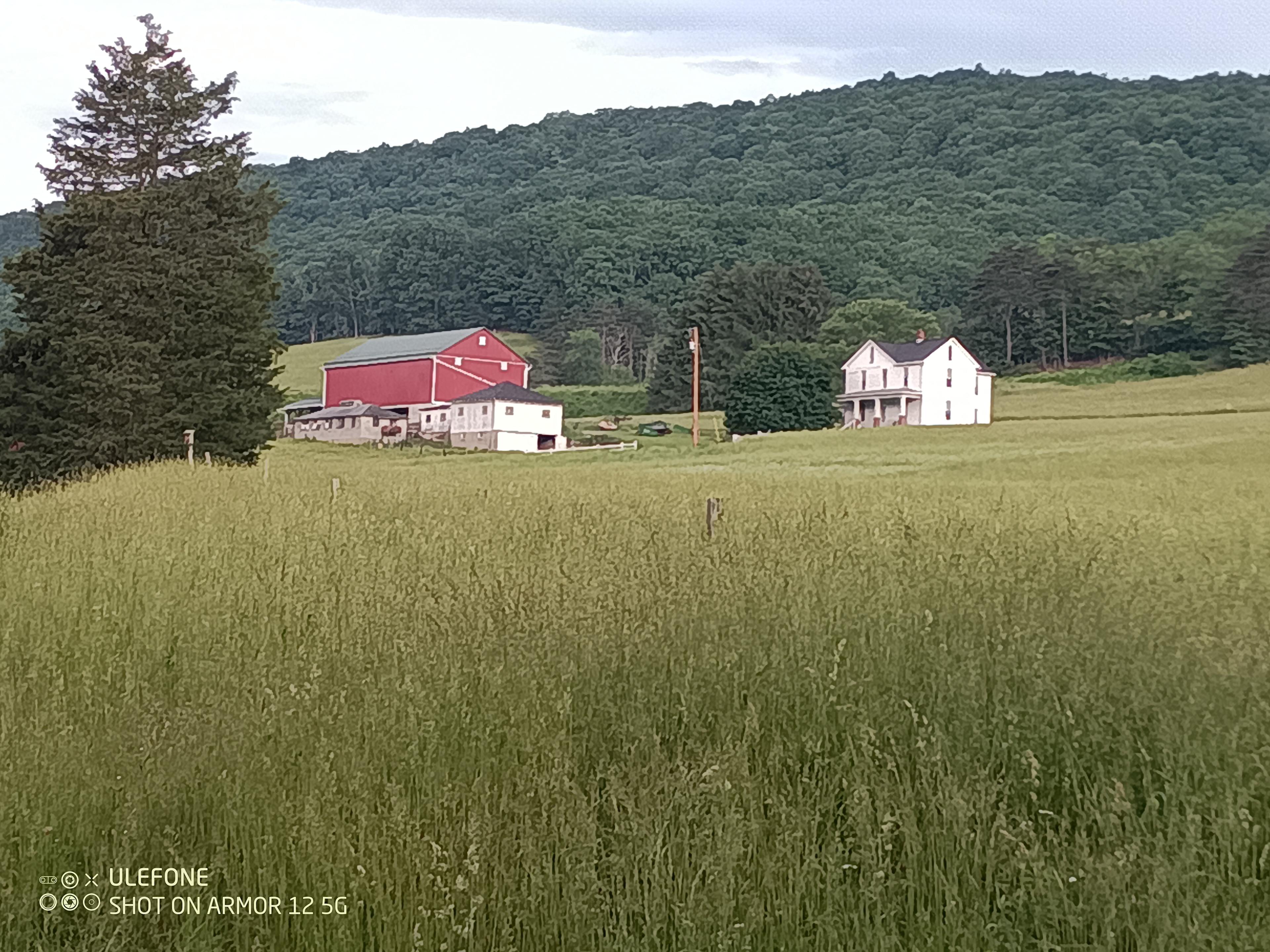 Raven Heart Farm