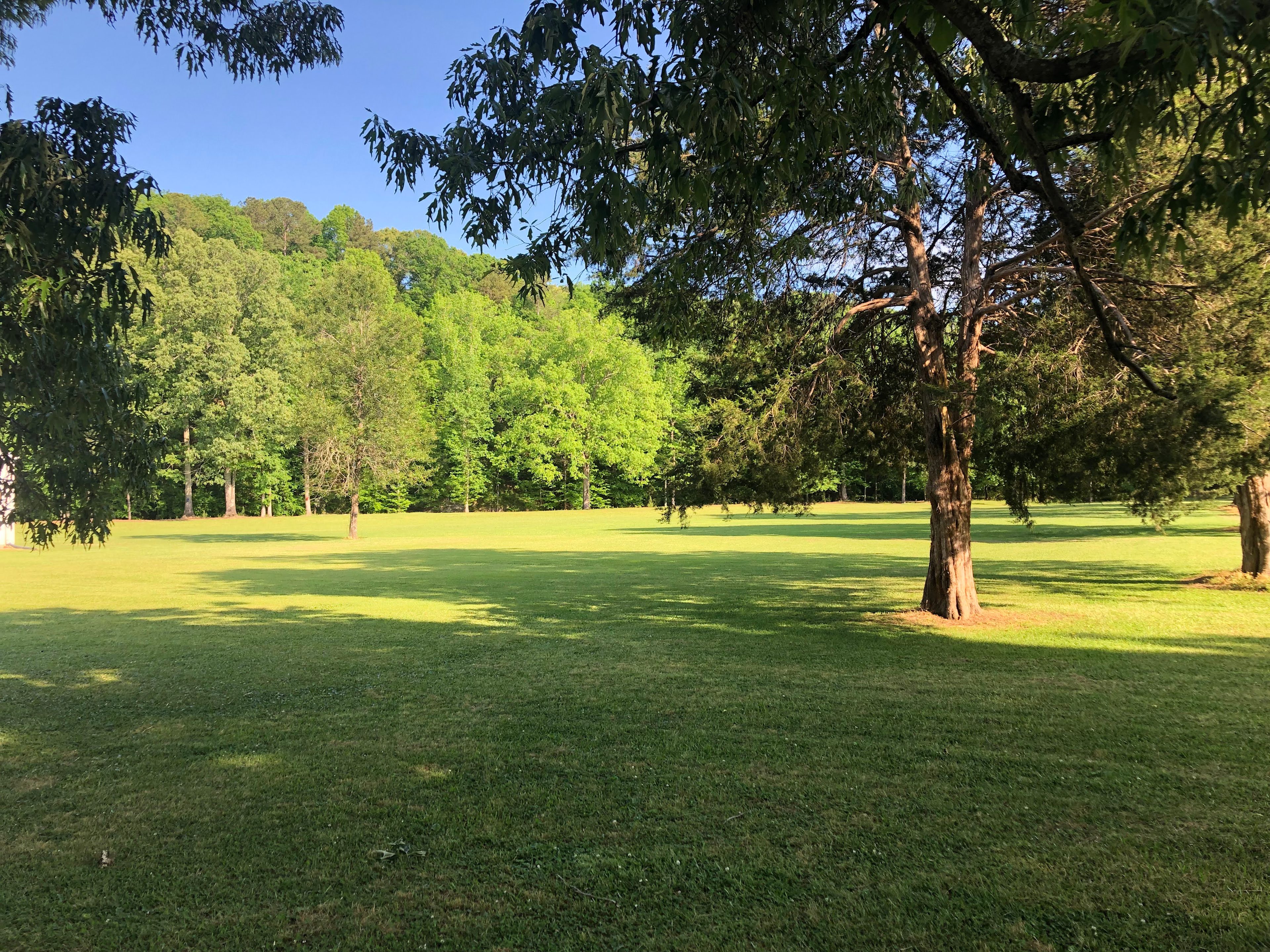 Chinnabee at the Cedars