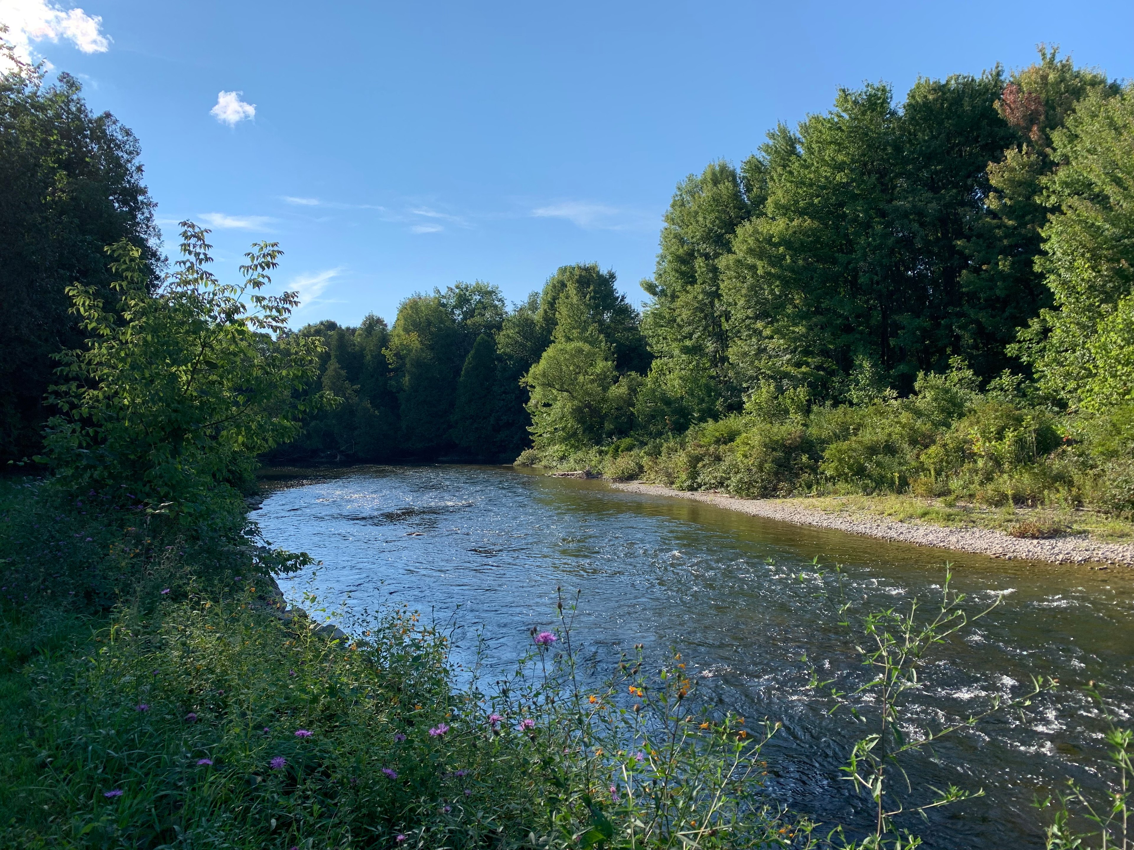 Beaver Ranch