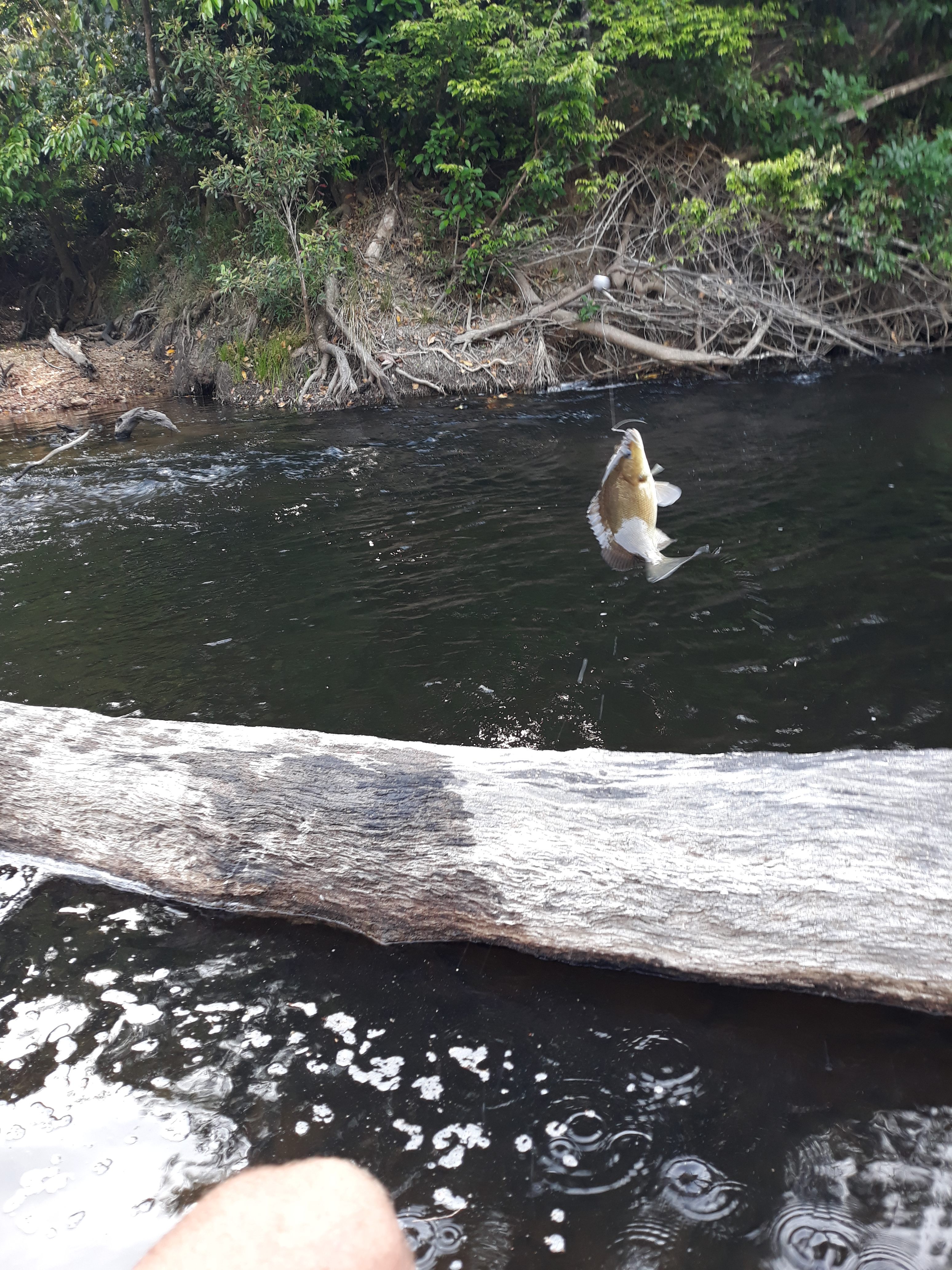 Try a spot of fishing in the river.