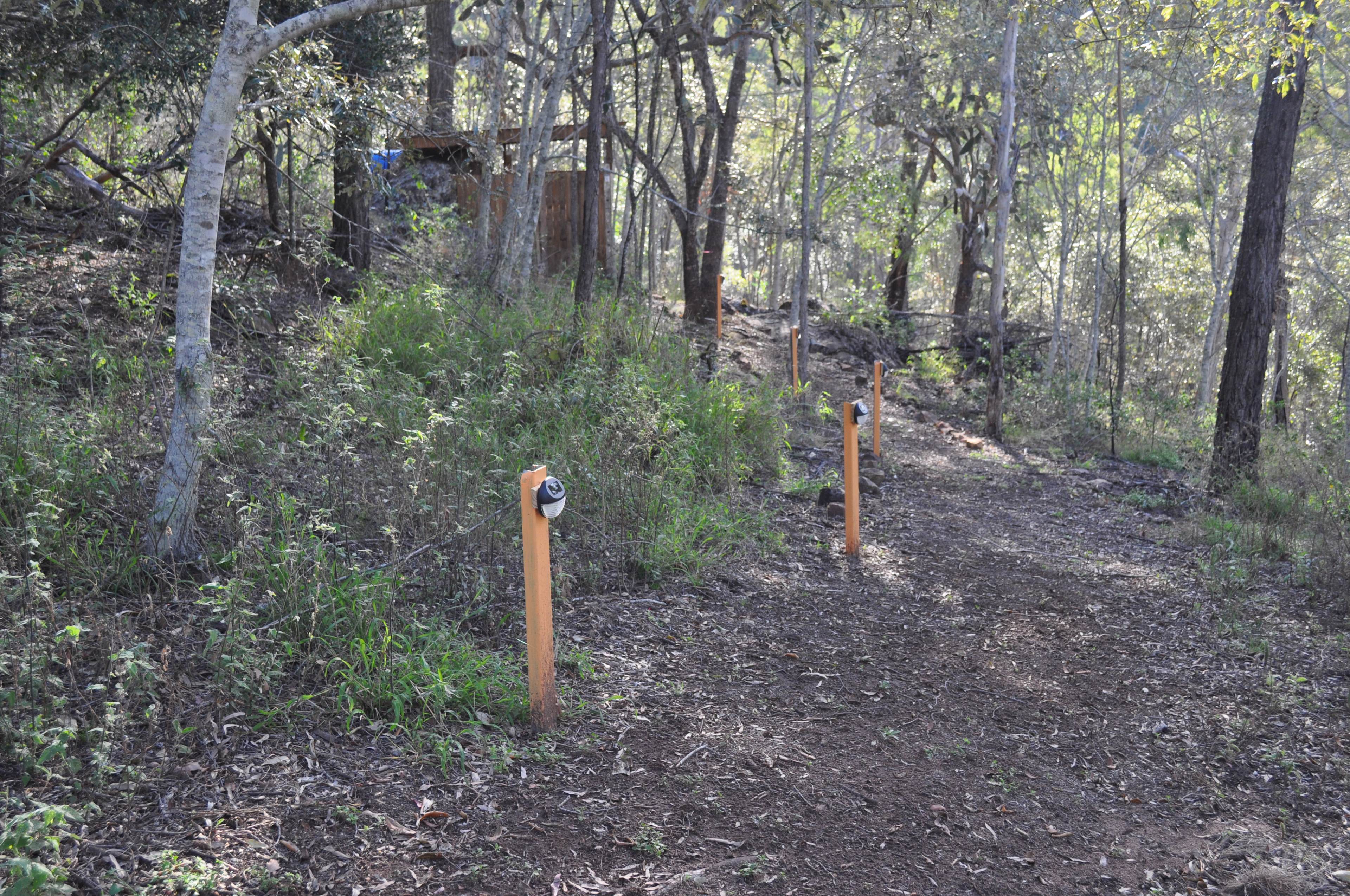 Pathway to bush bathroom