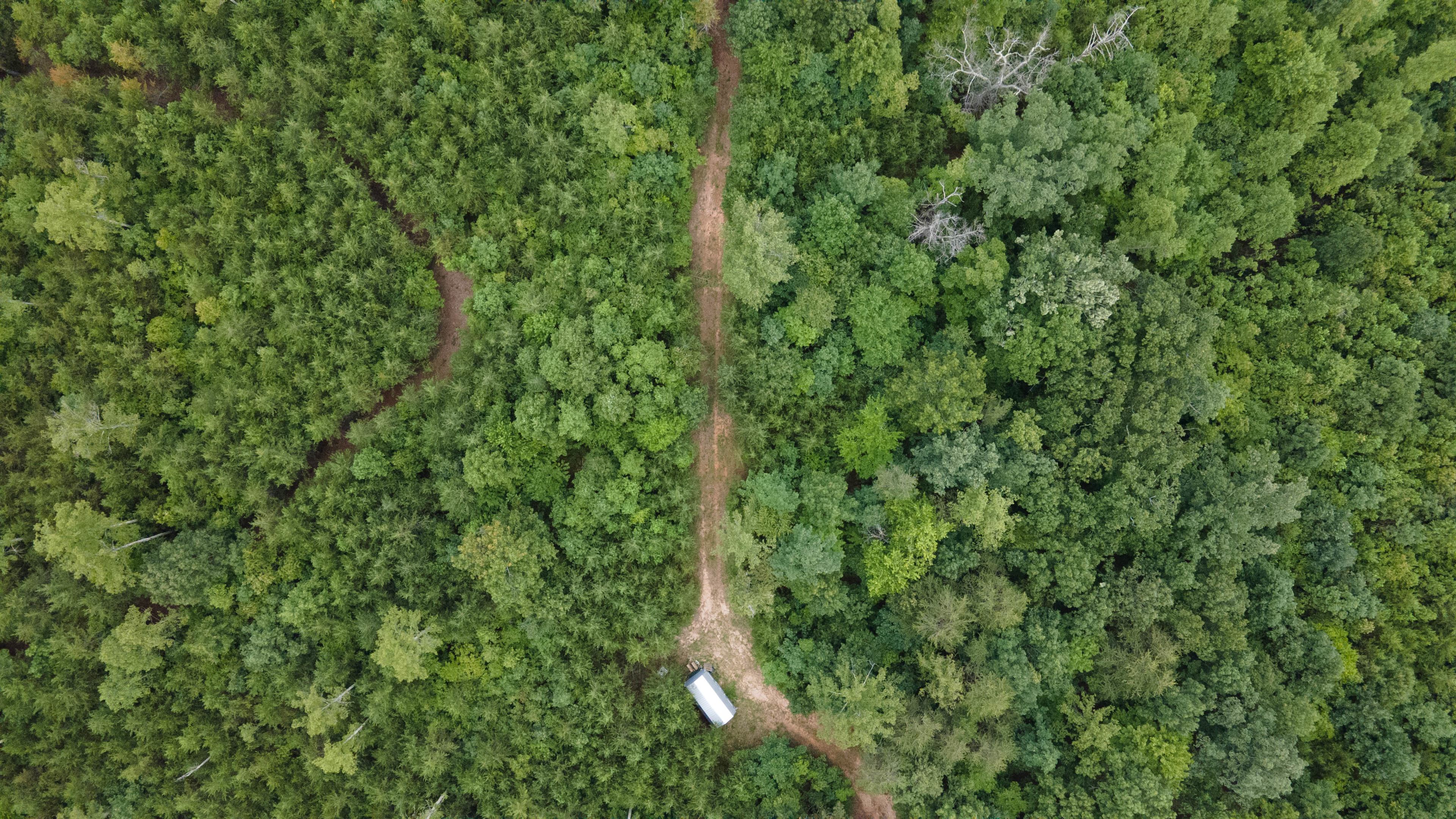 Farm Road is a Mile Long With Emergency Access To Trails, Still Stay on Trails