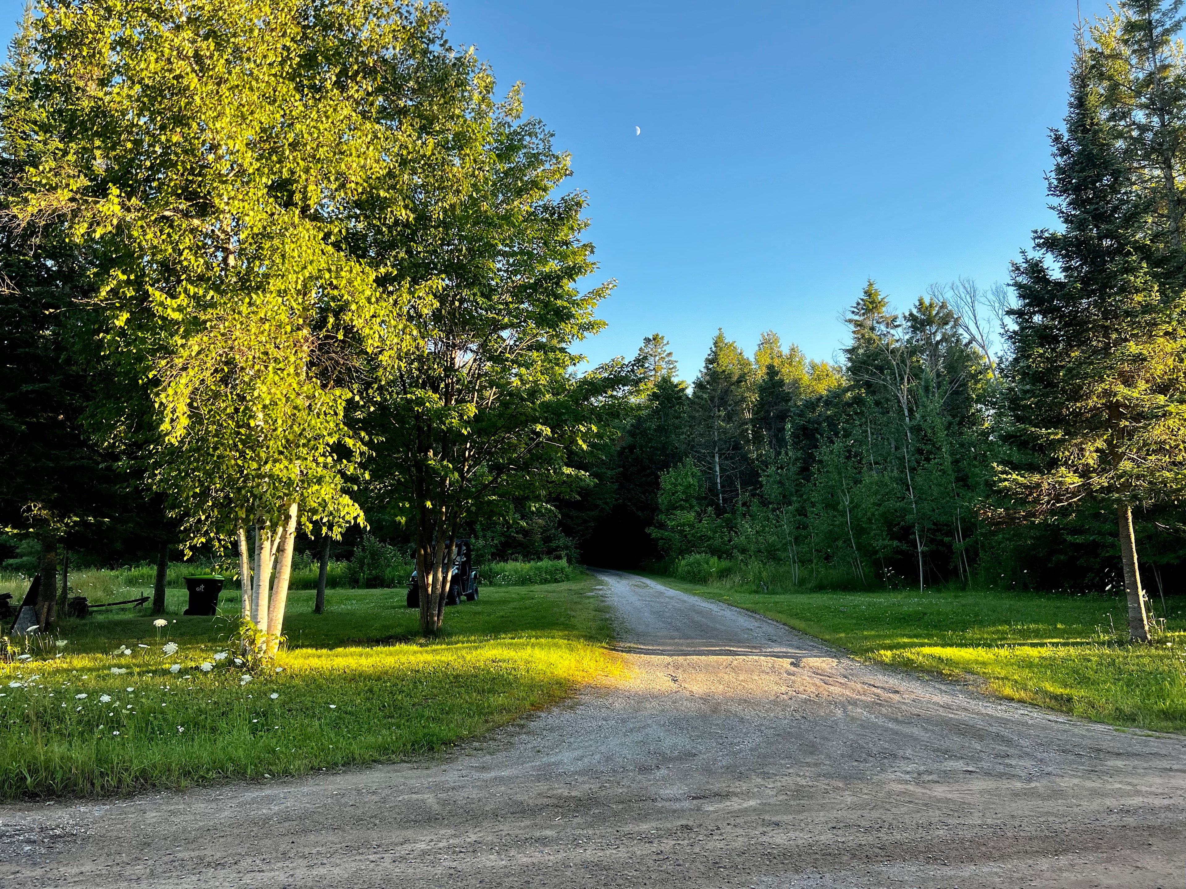 Looking up the driveway from the road. Entrance to the campsite is to the left.