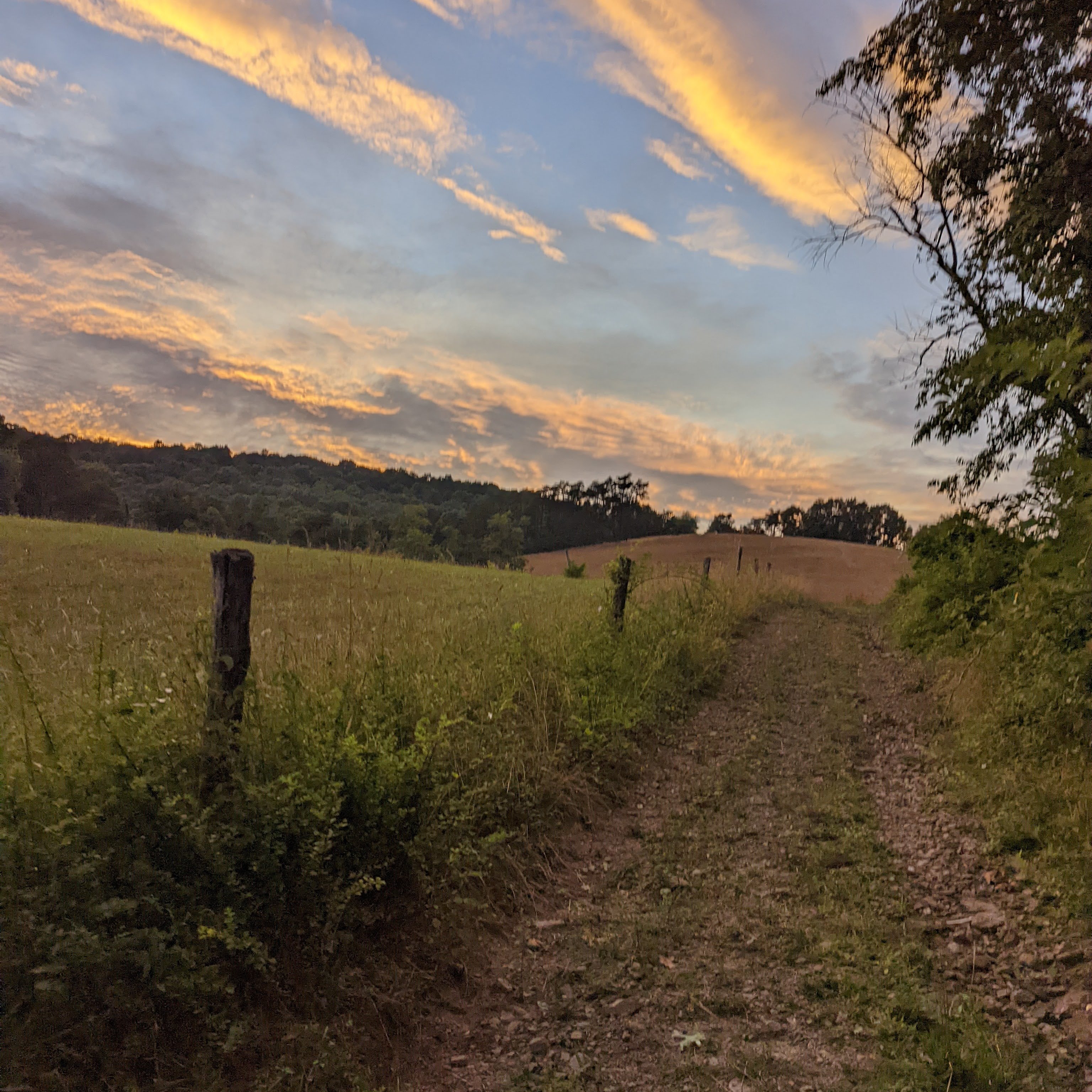 Raven Heart Farm