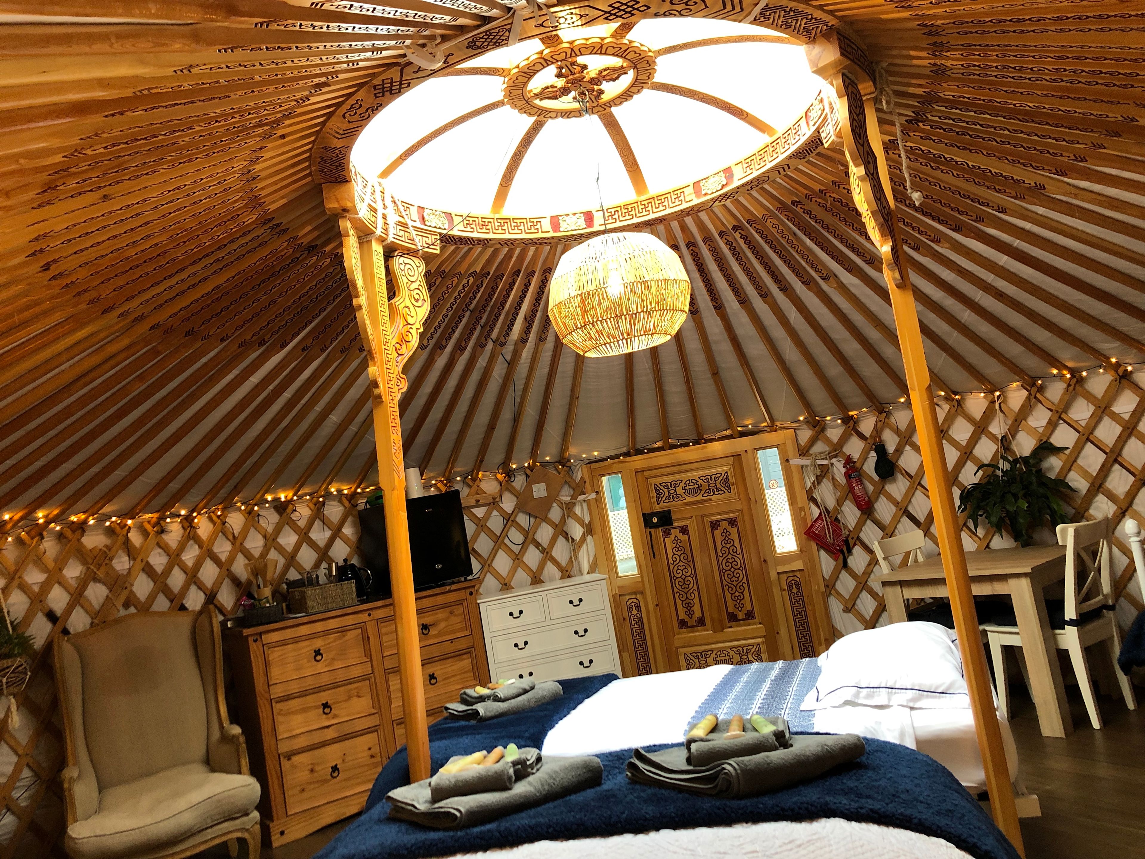 Buzzard Holt Hosting