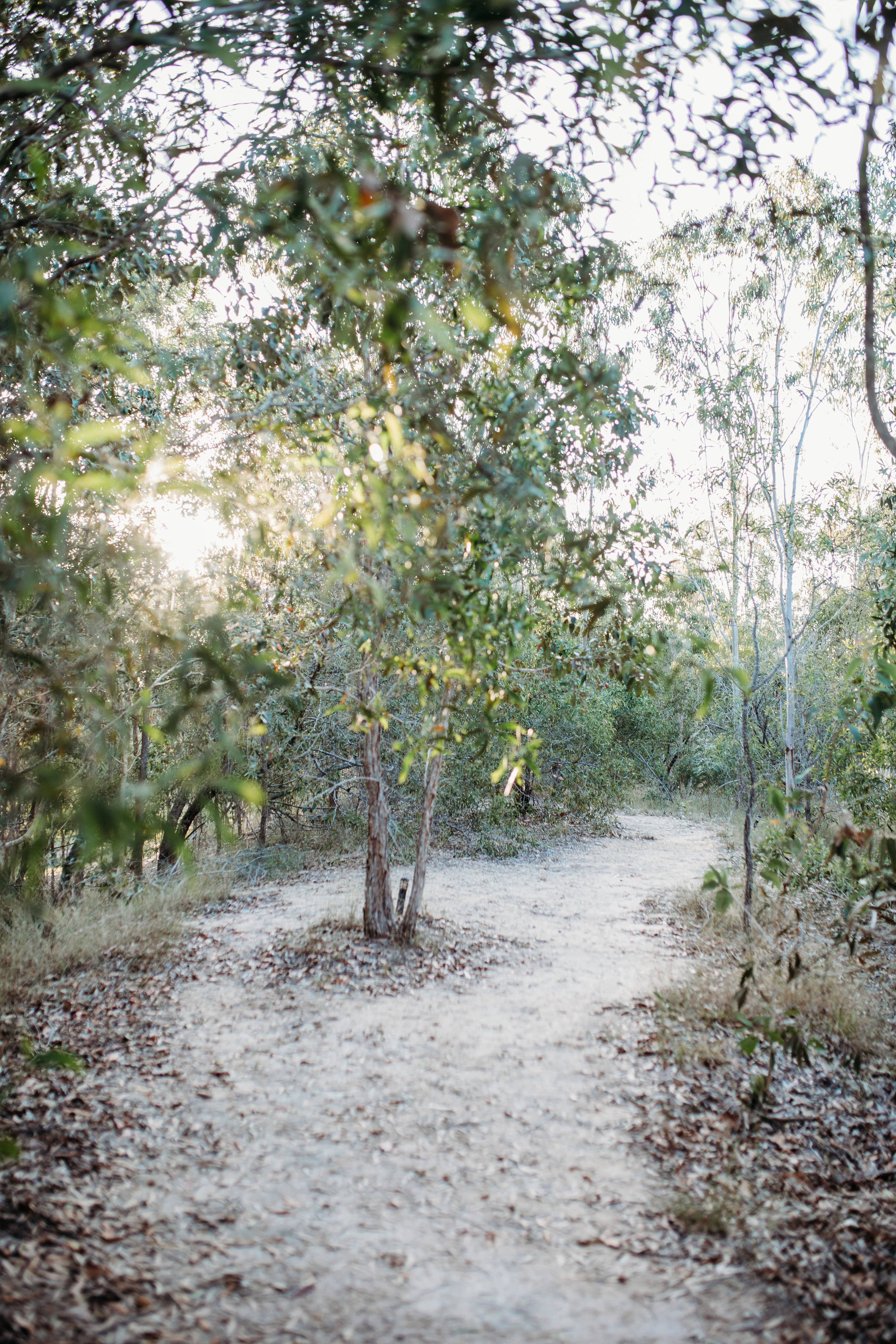 Travellers Rest 1770