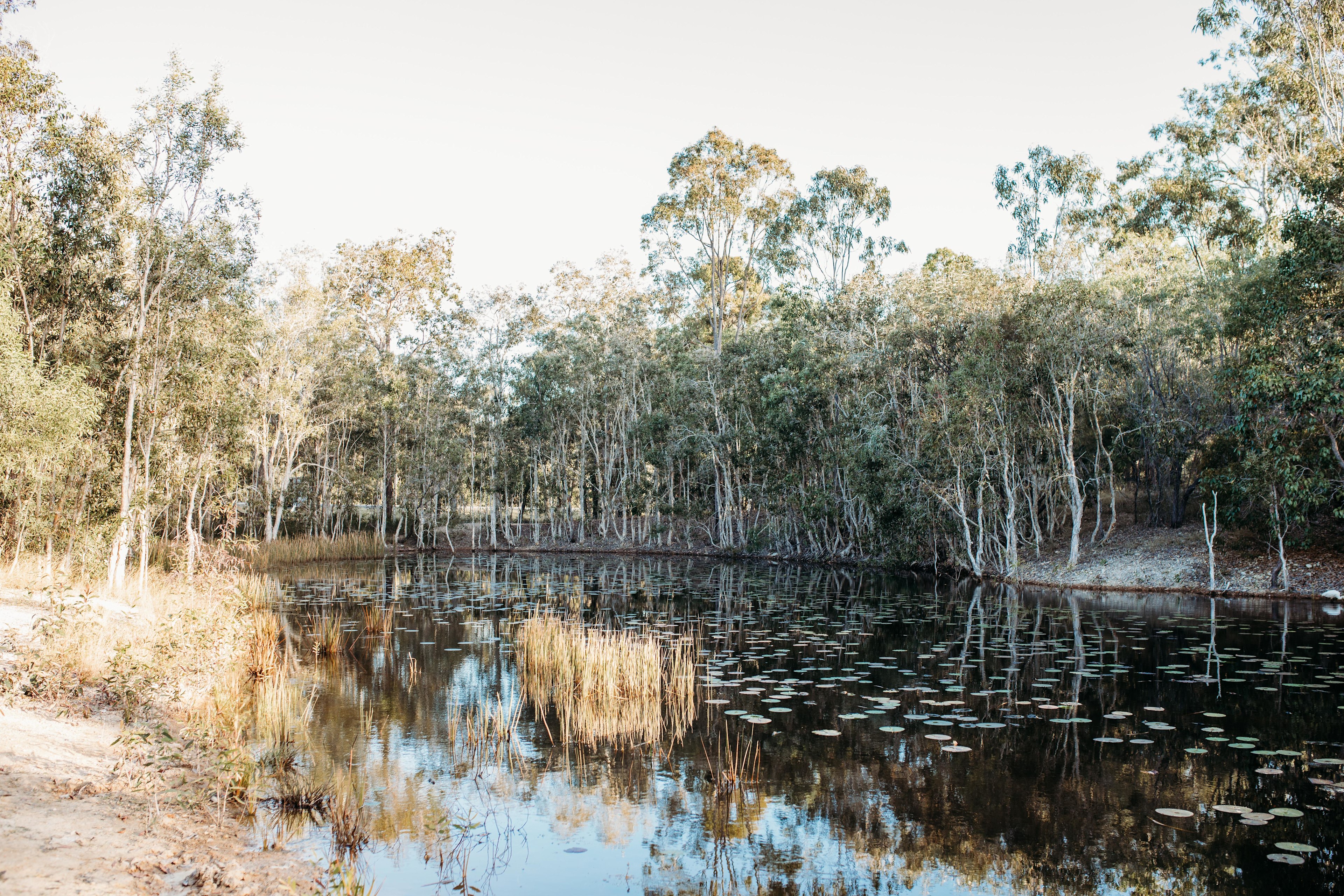 Travellers Rest 1770 Eco Camping
