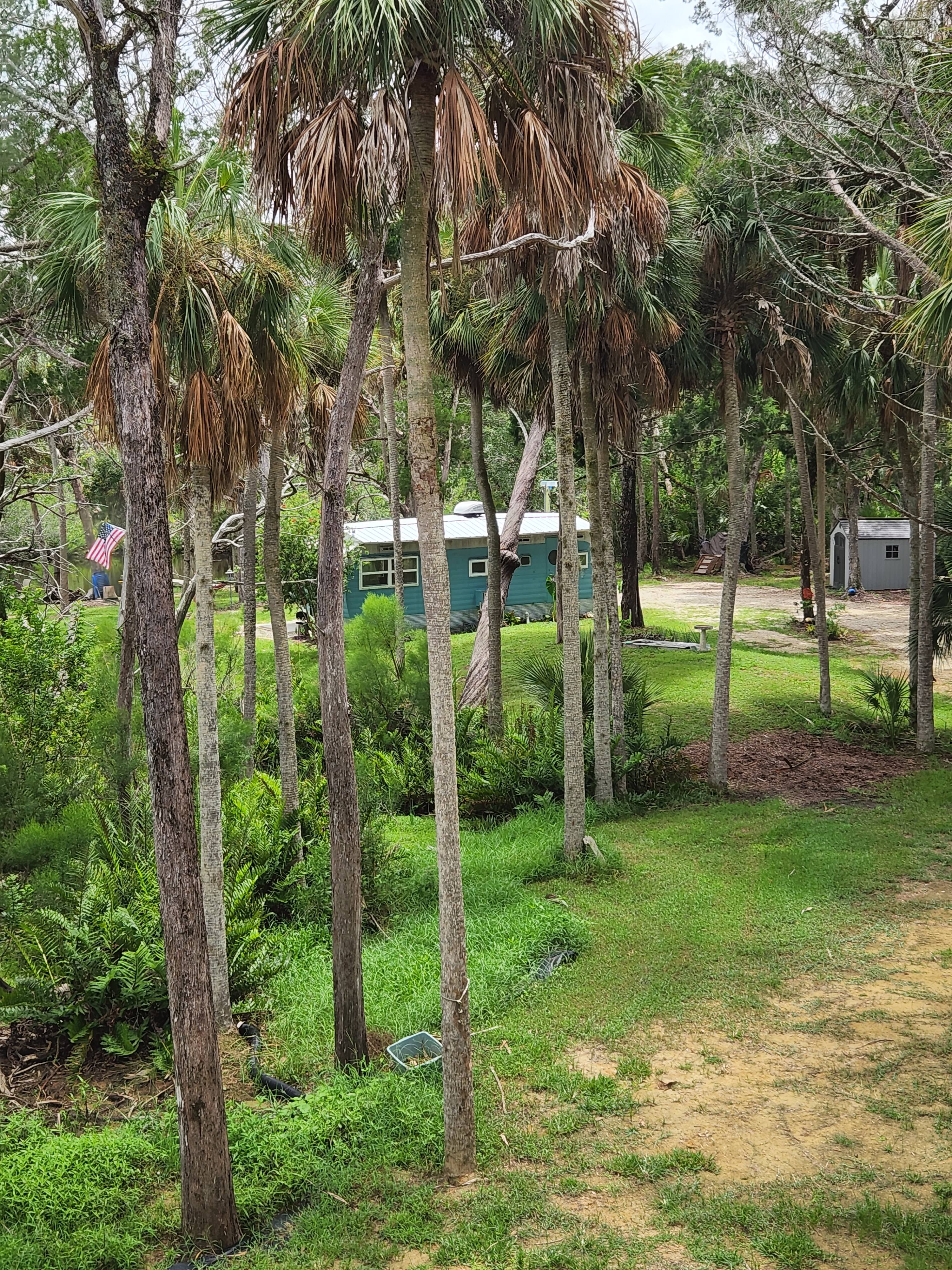 Beat Views on Mason Creek with Dock