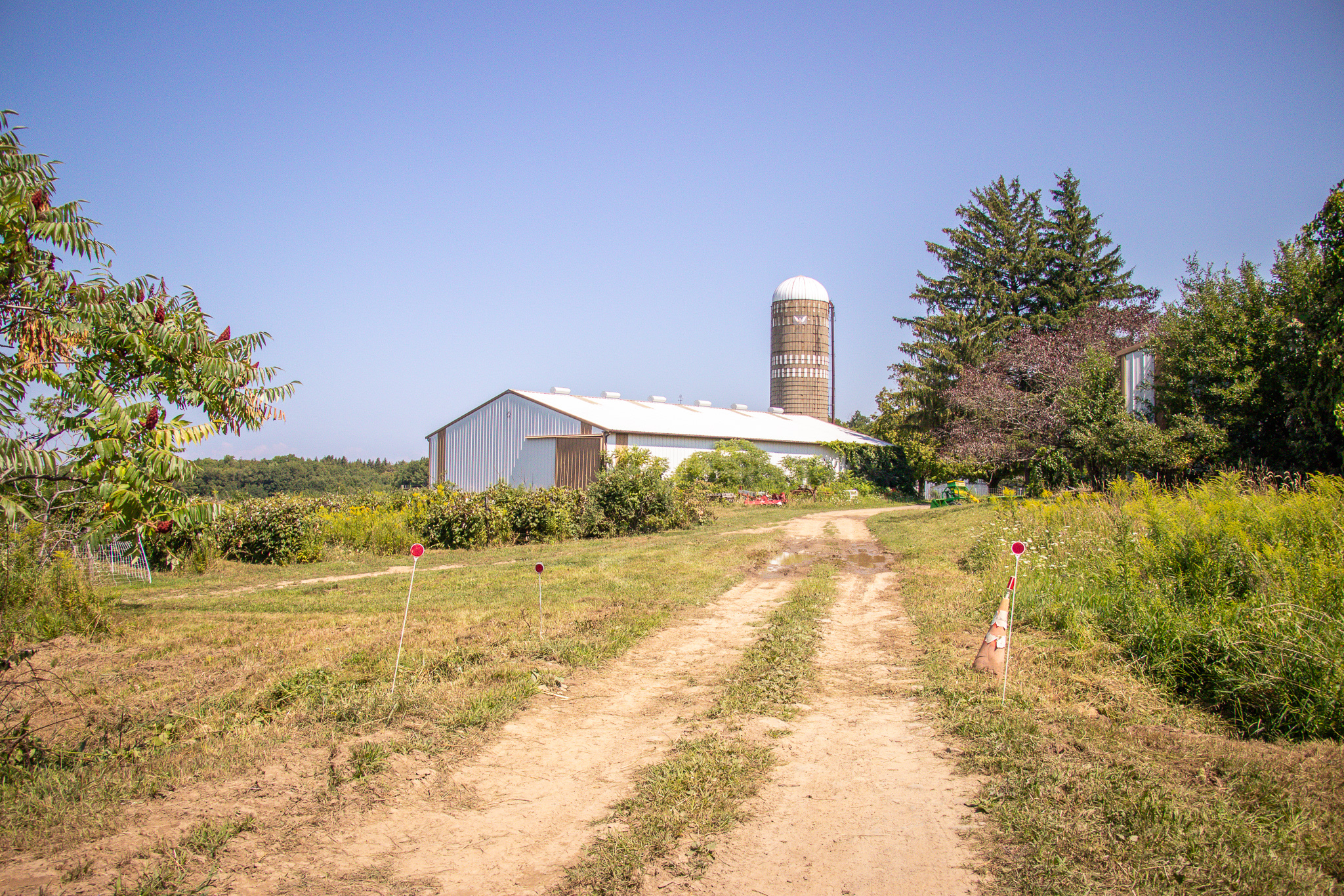 Toboggan Hill Farm