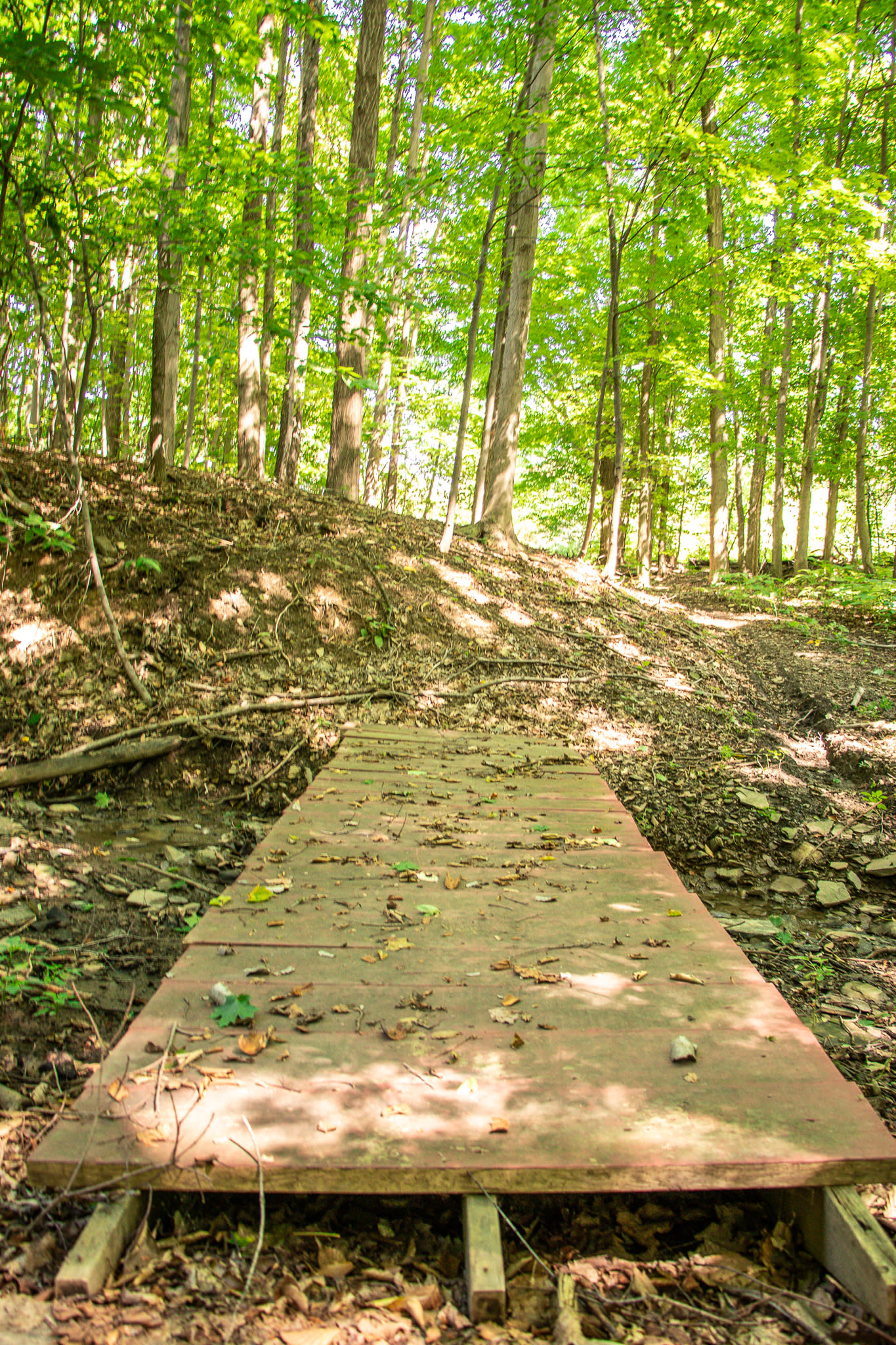 The footbridge leads down to a wooded area that is perfect for tent camping
