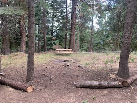 CAMPSITE 2 is near the community kitchen and shower . Nice pull-in for campervans.