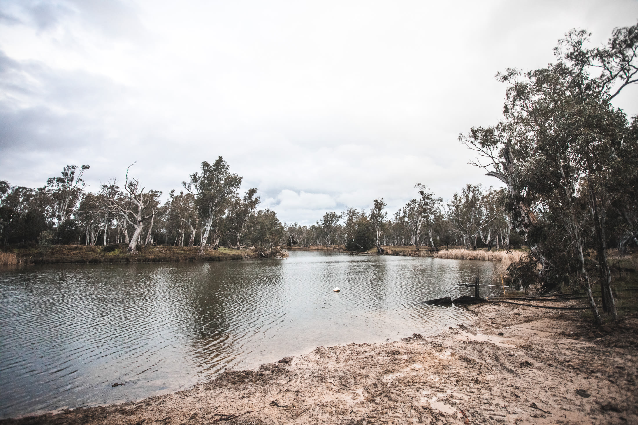 Wandering around the beautiful property