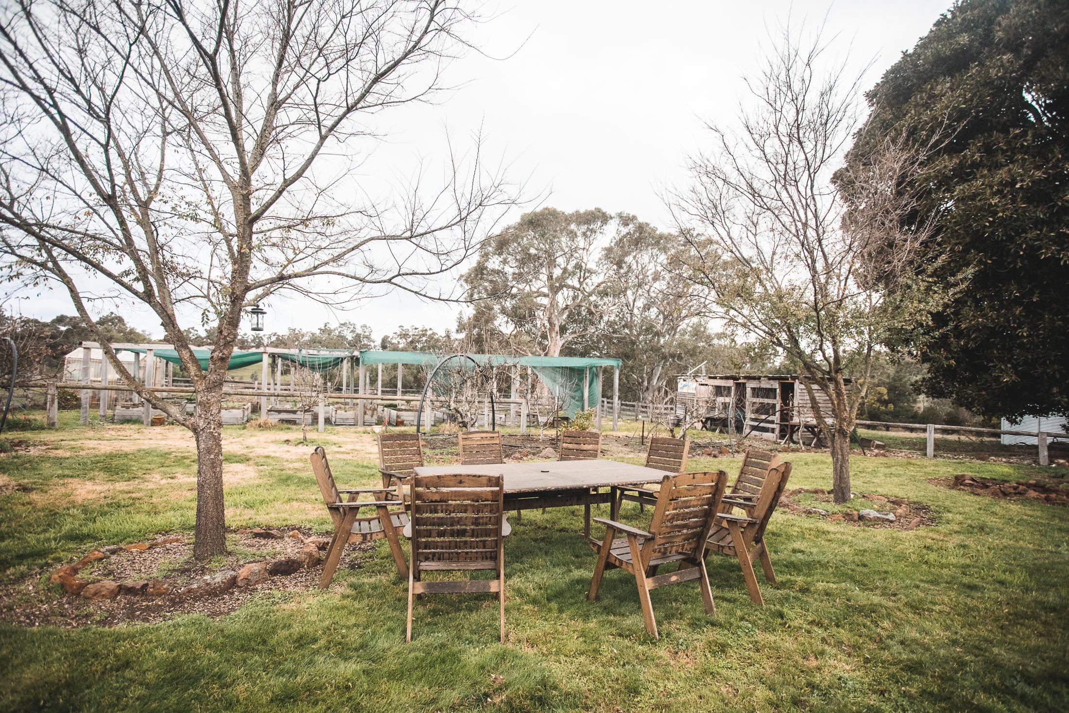 Outdoor table in the backyard