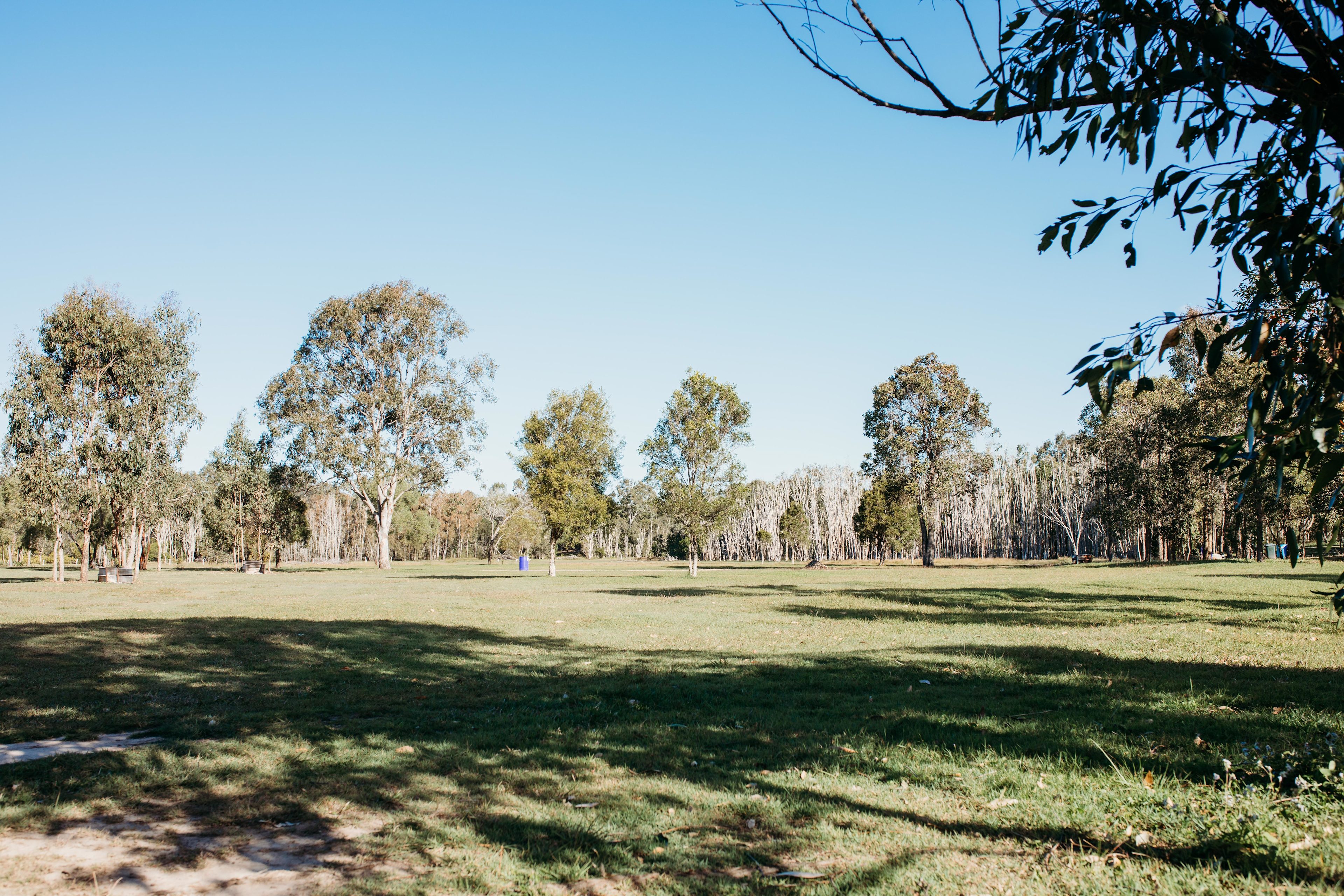Baffle Creek Camping  Midskinrick