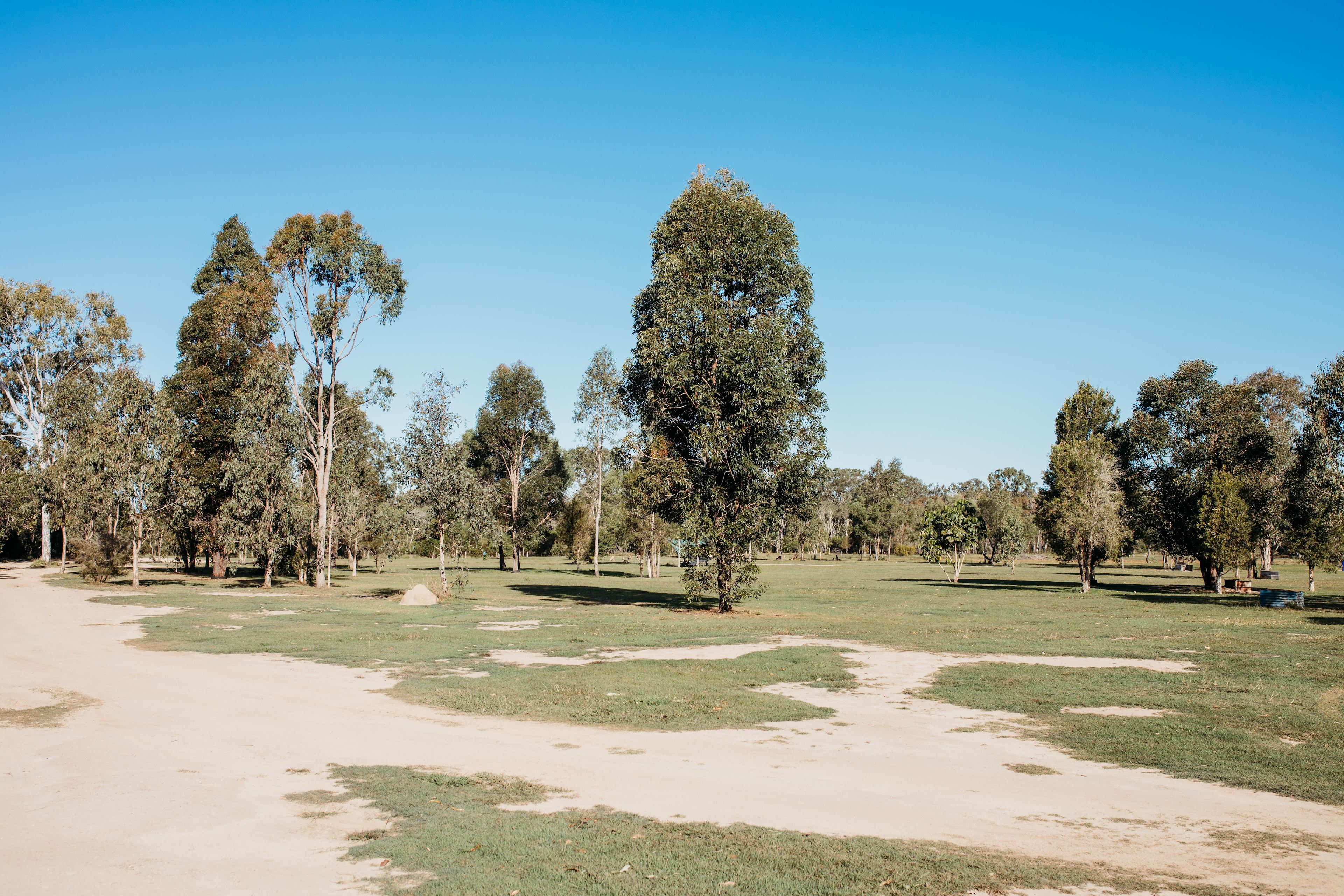 Baffle Creek Camping  Midskinrick