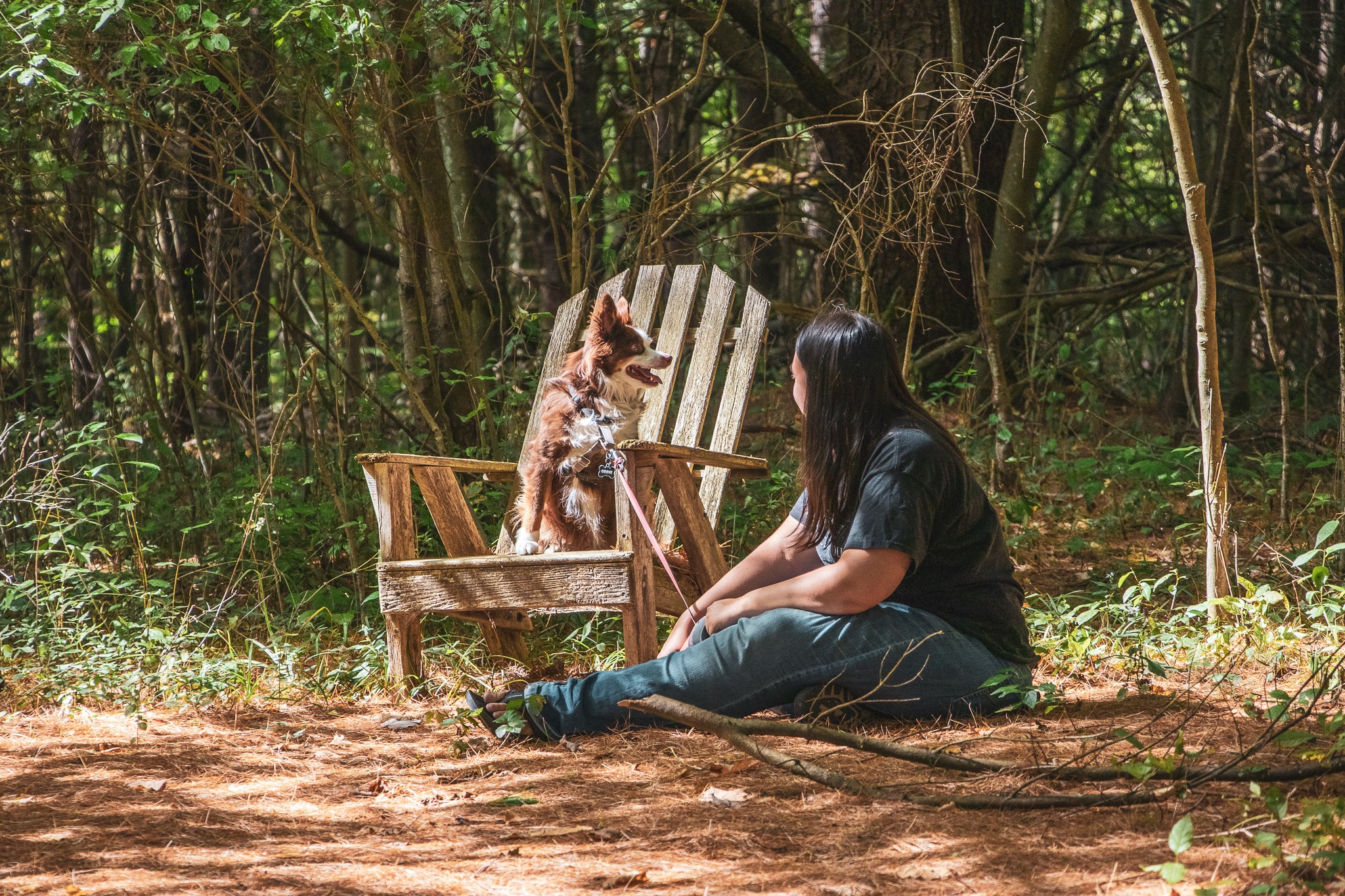 We always love getting to stay at pet-friendly Hipcamps!