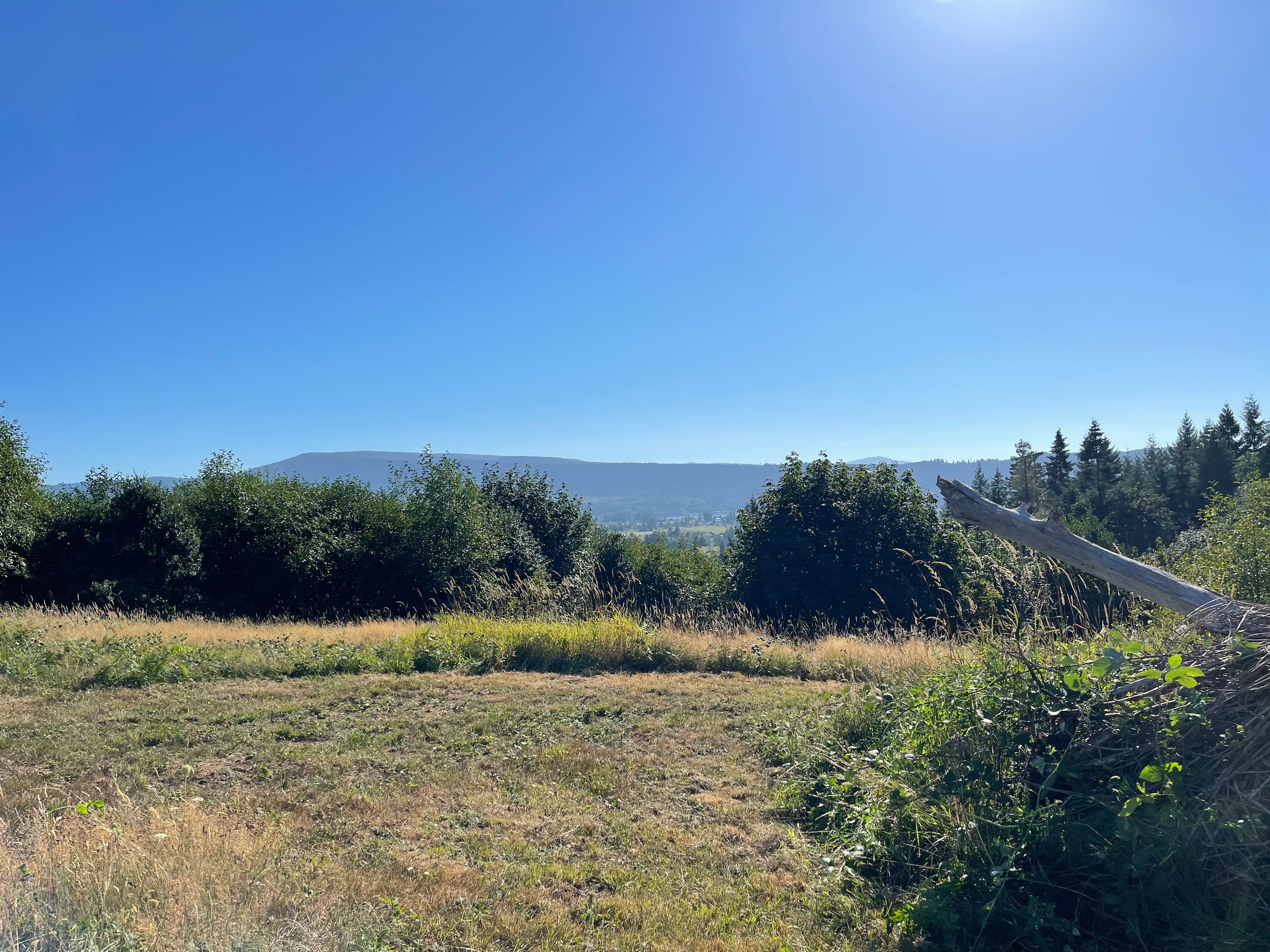 Wild Blackberry Heights