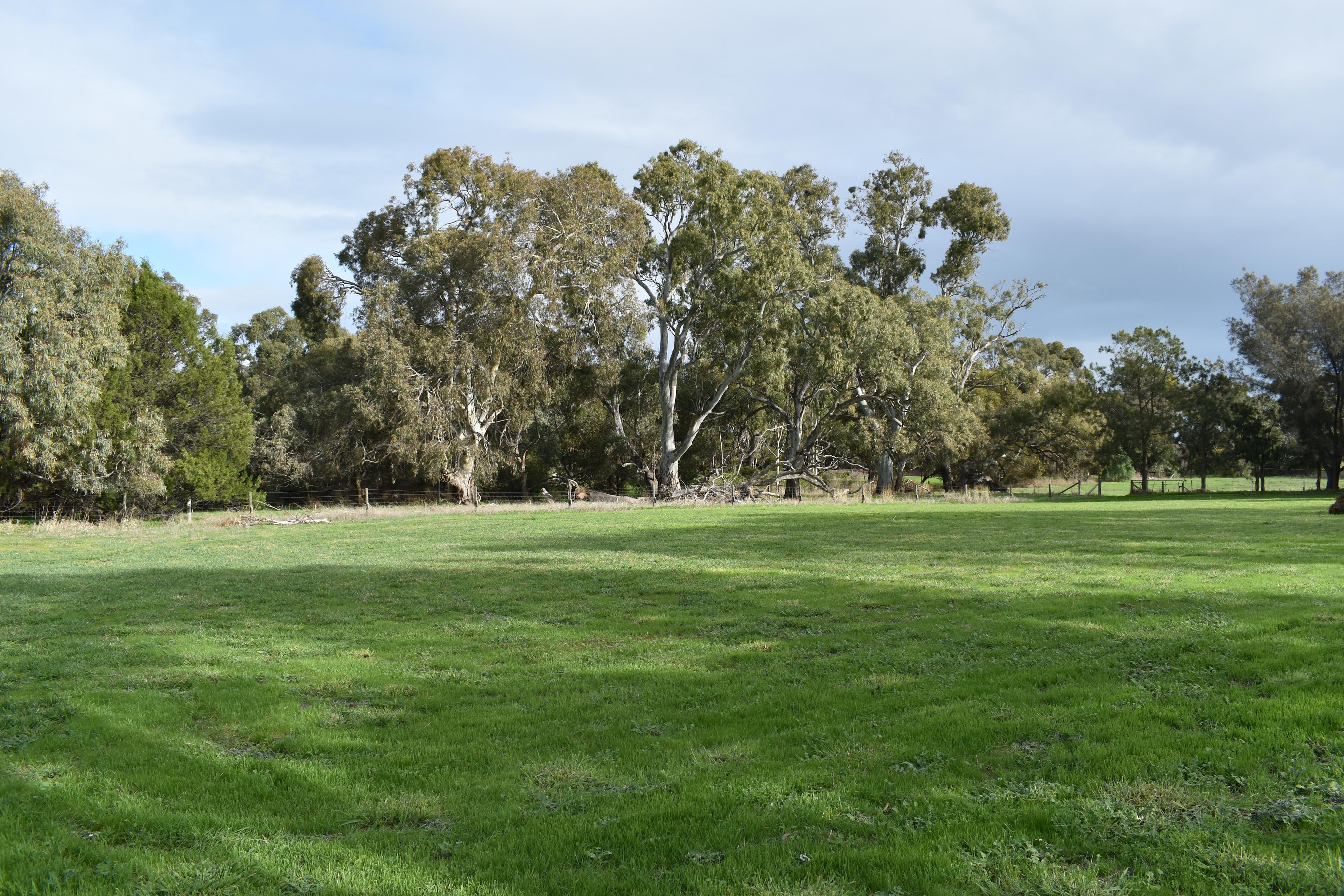 Central camp site