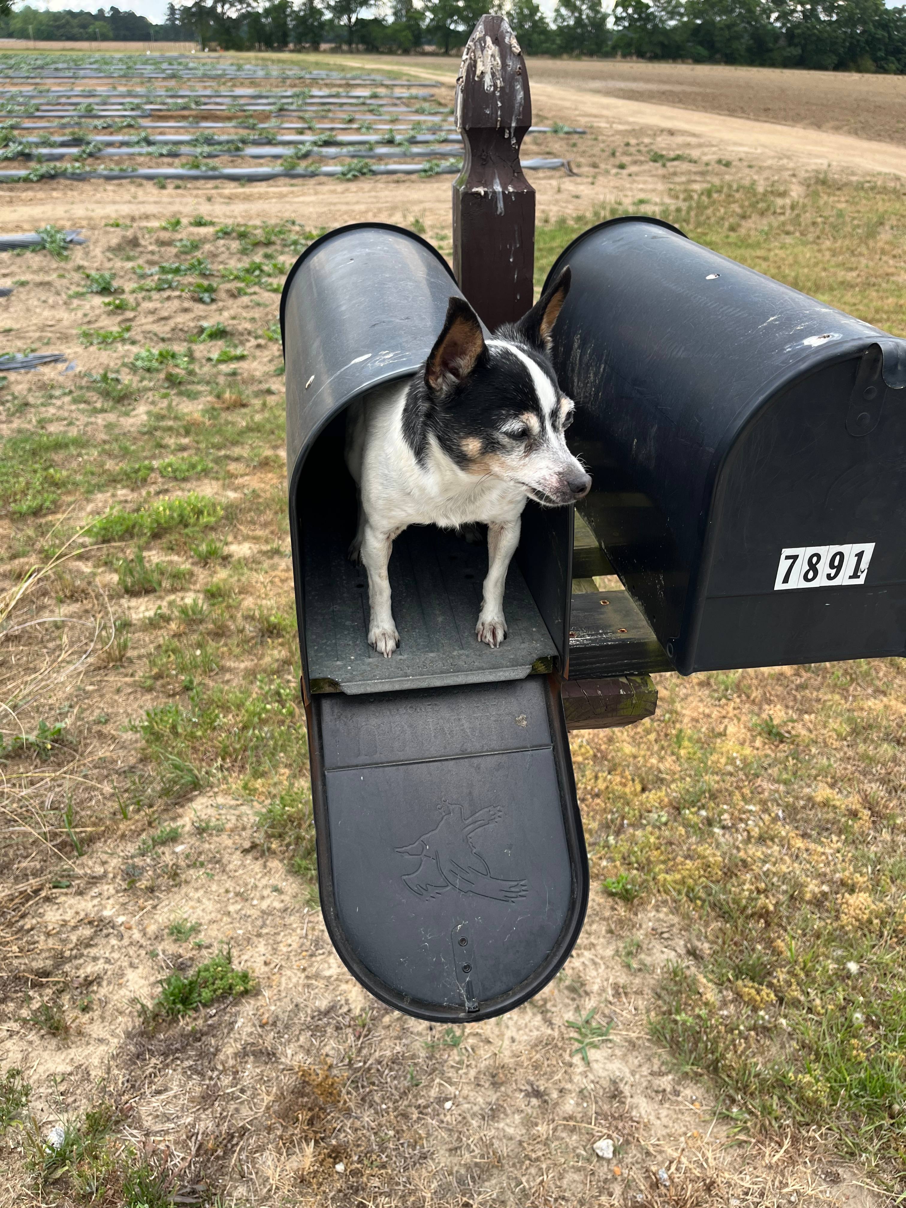 Relax at The Horse Barn