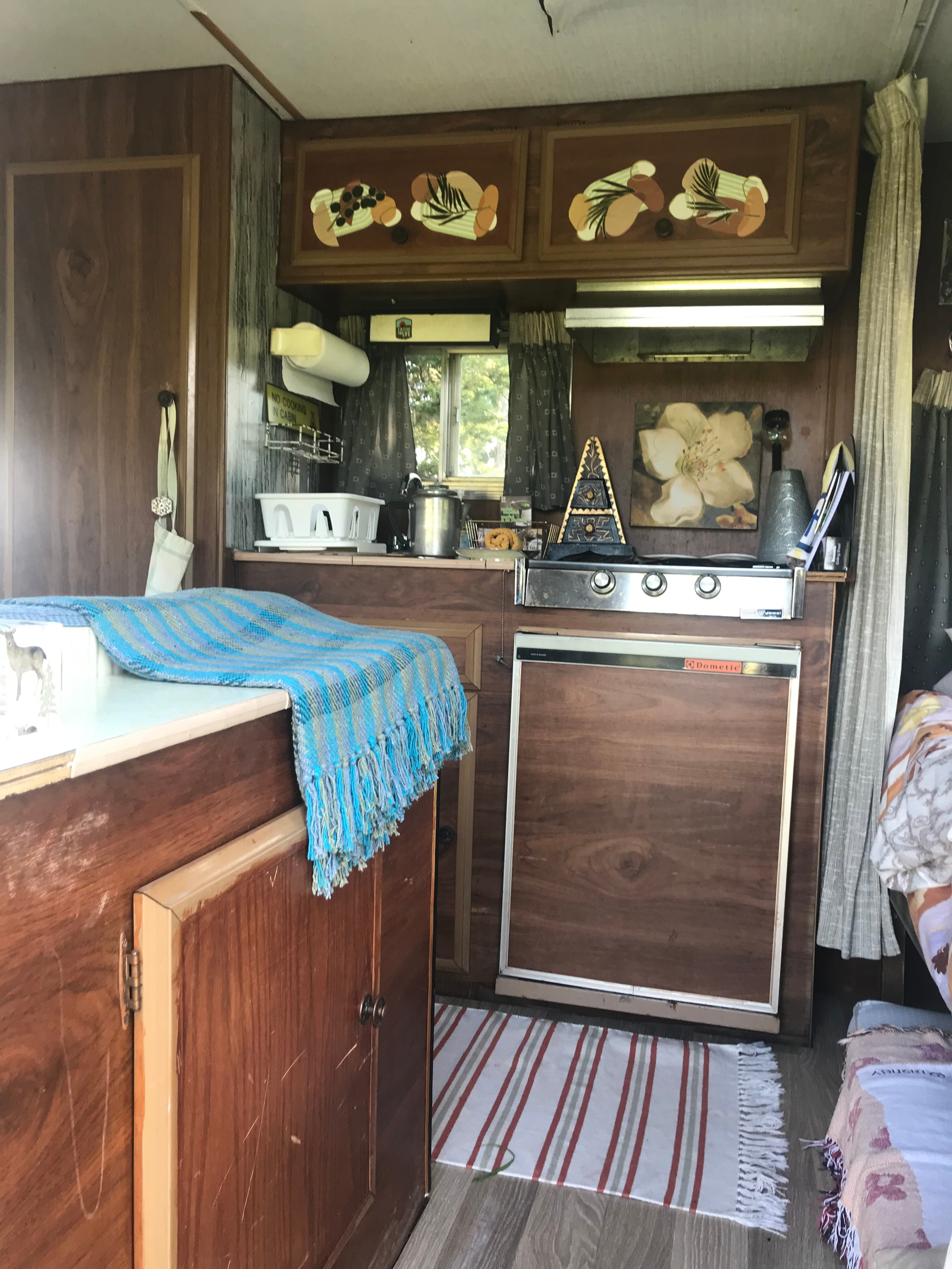 Bluebirds  Landings homestead
