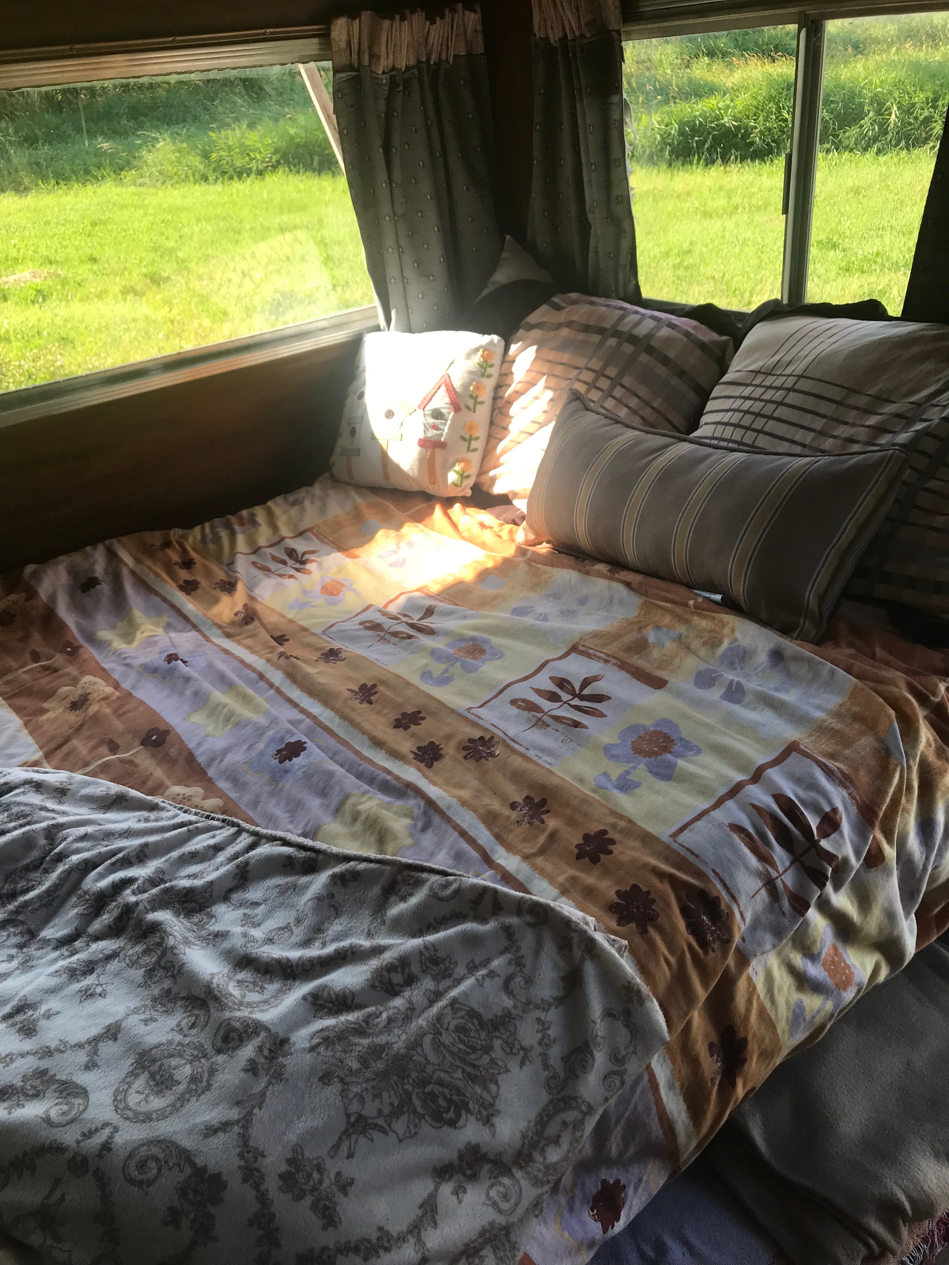Bluebirds  Landings homestead