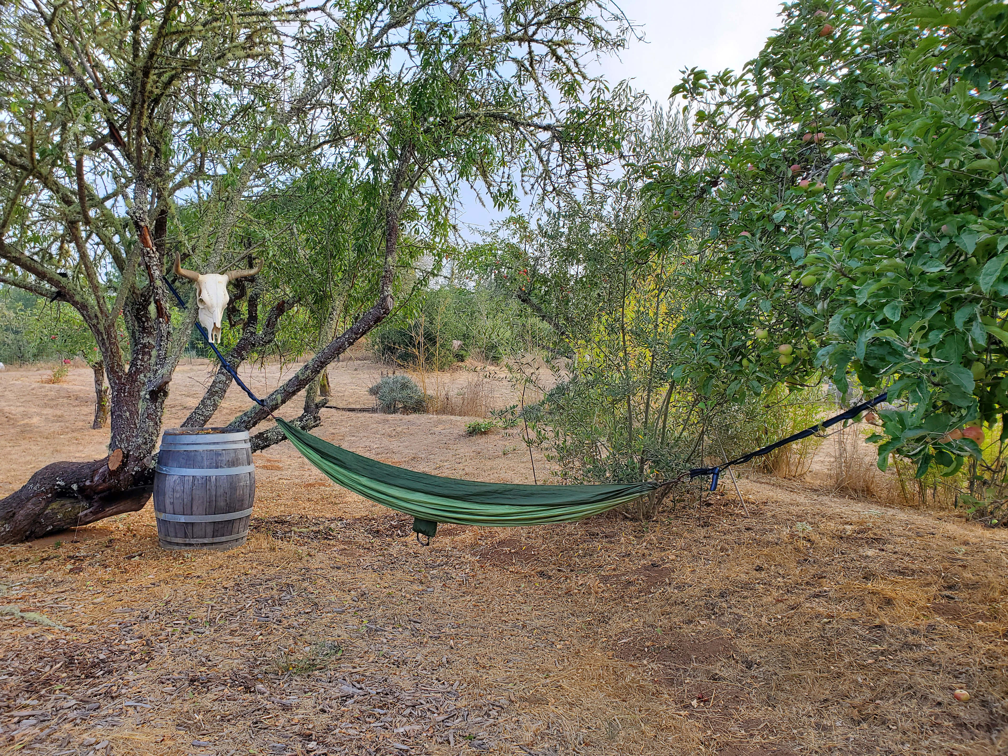 Rancho Laslendini