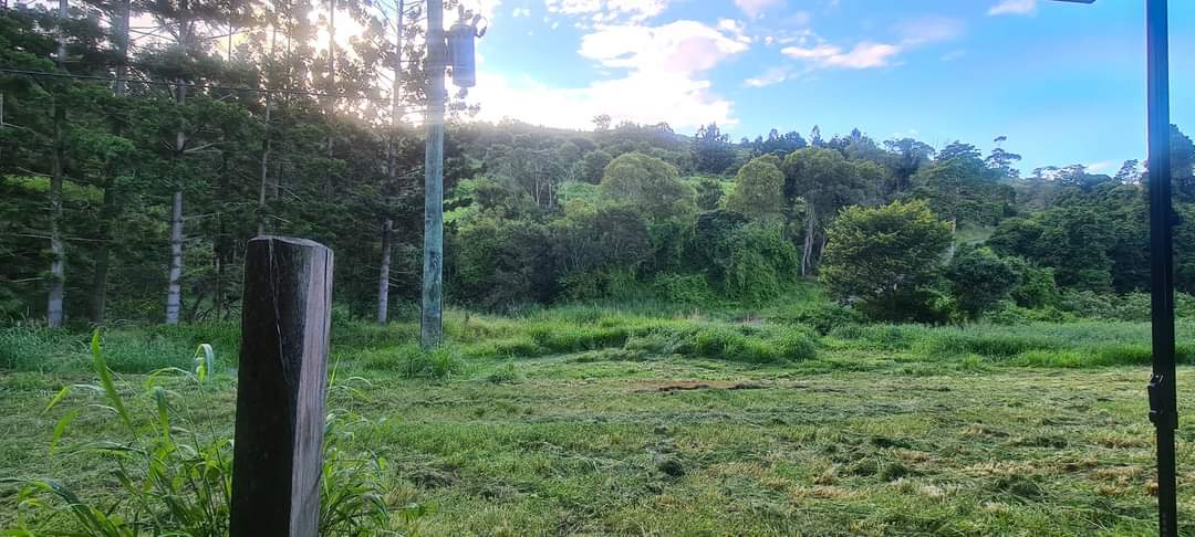 Red Gully rd Bush Camping