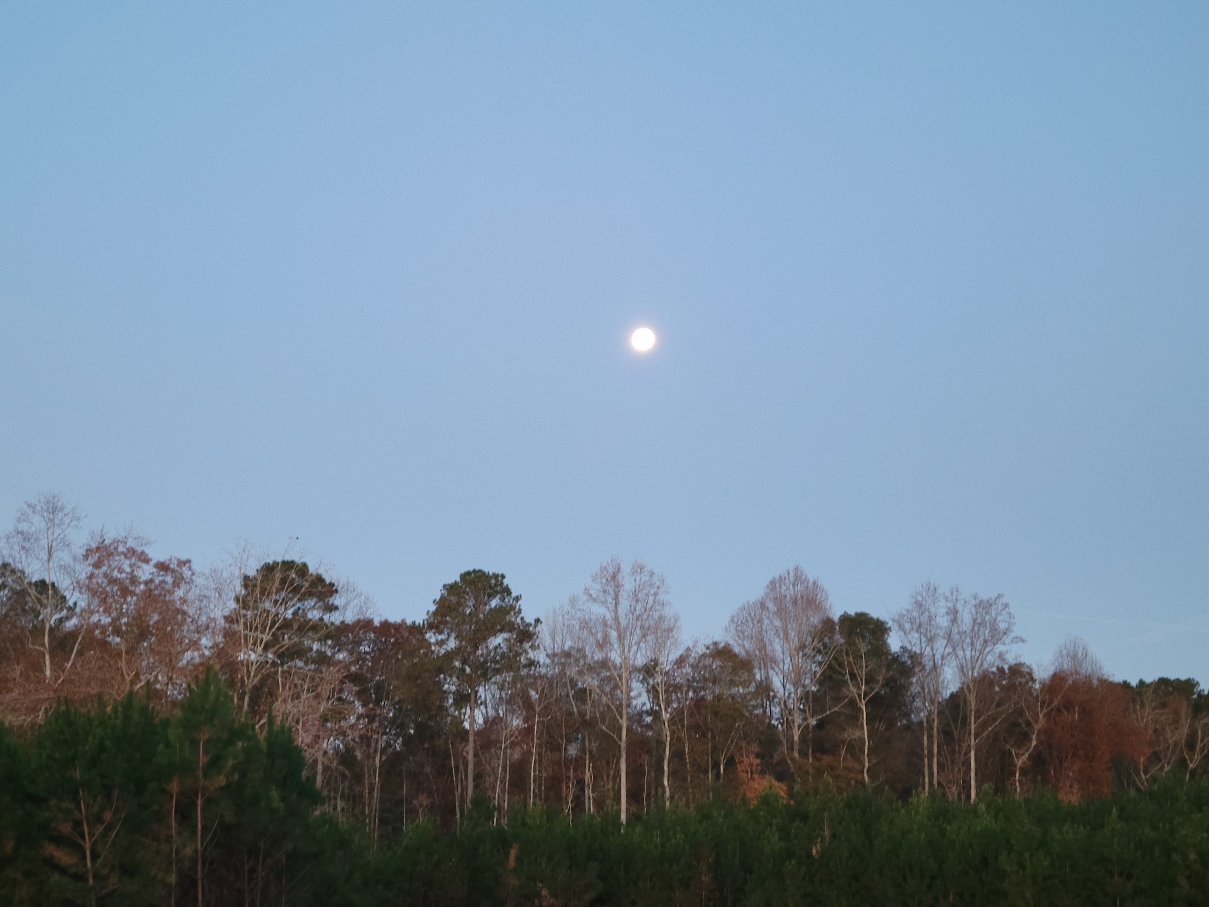 Davisboro Campground and RV Privet