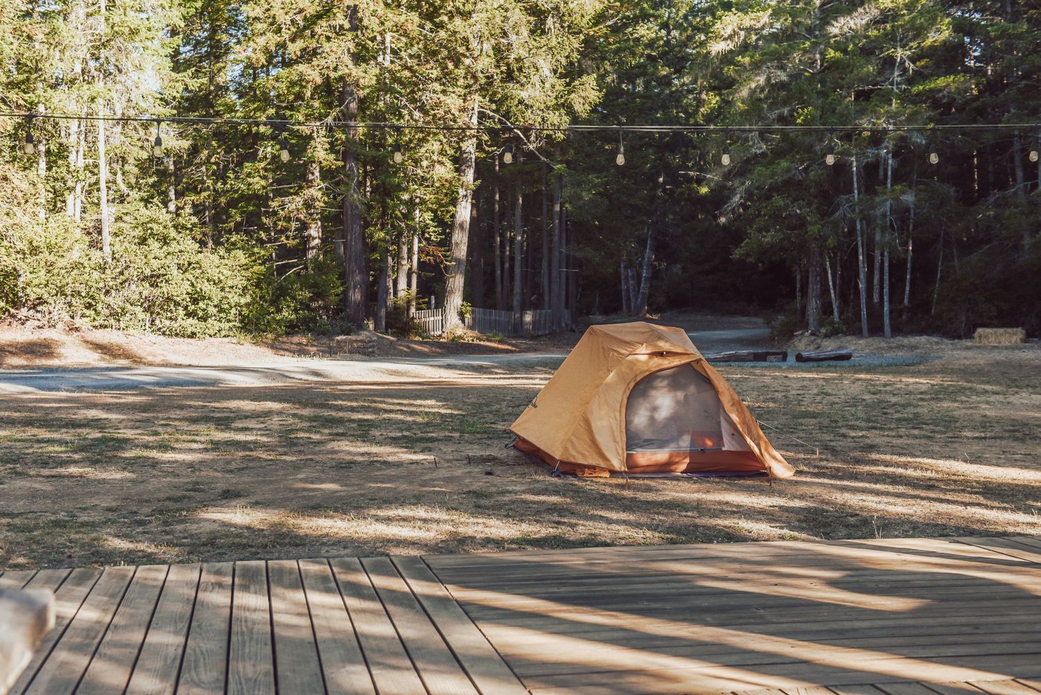 The Deck and Cozy Container