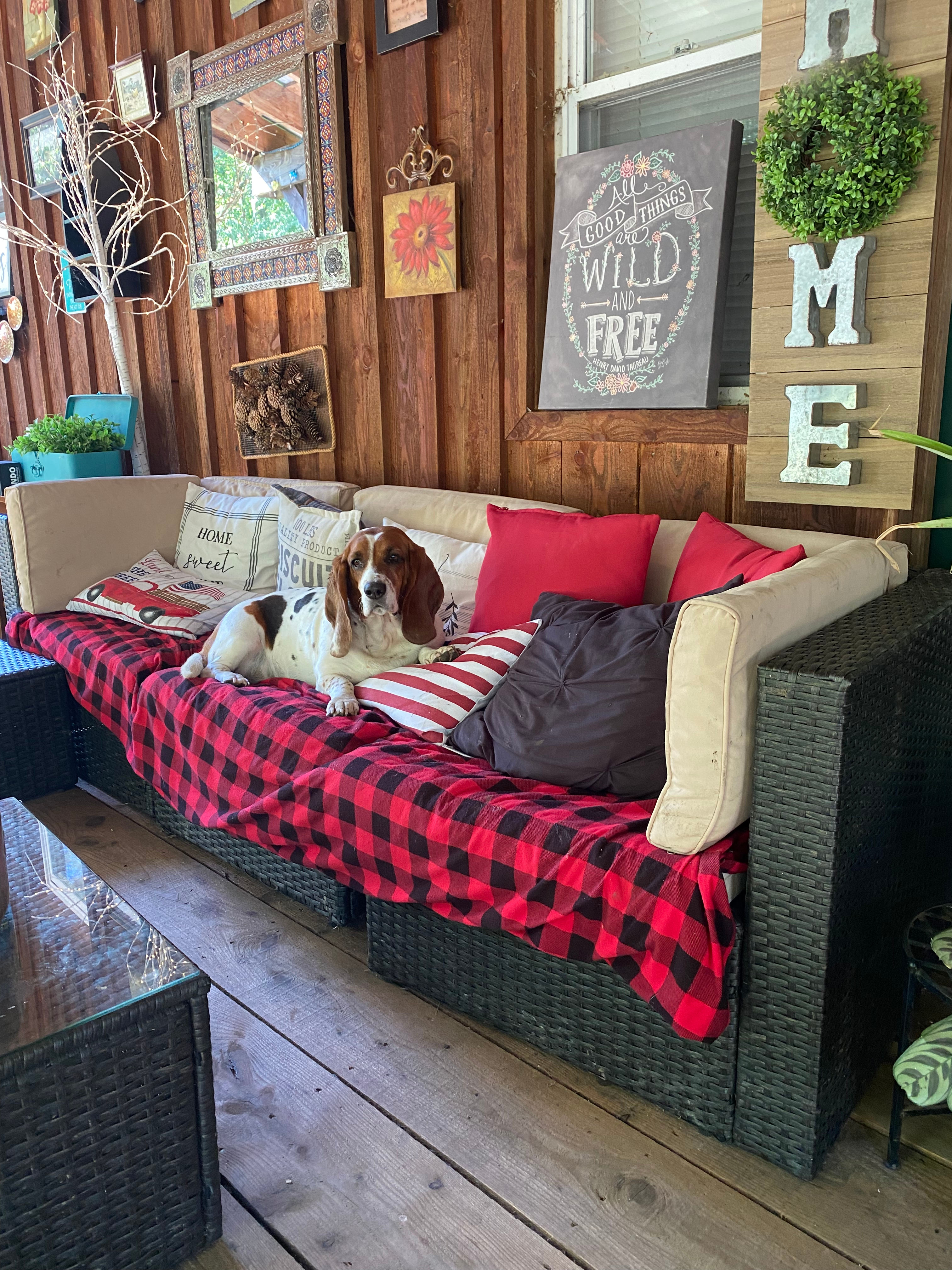 Angie's Country Cabins B&B