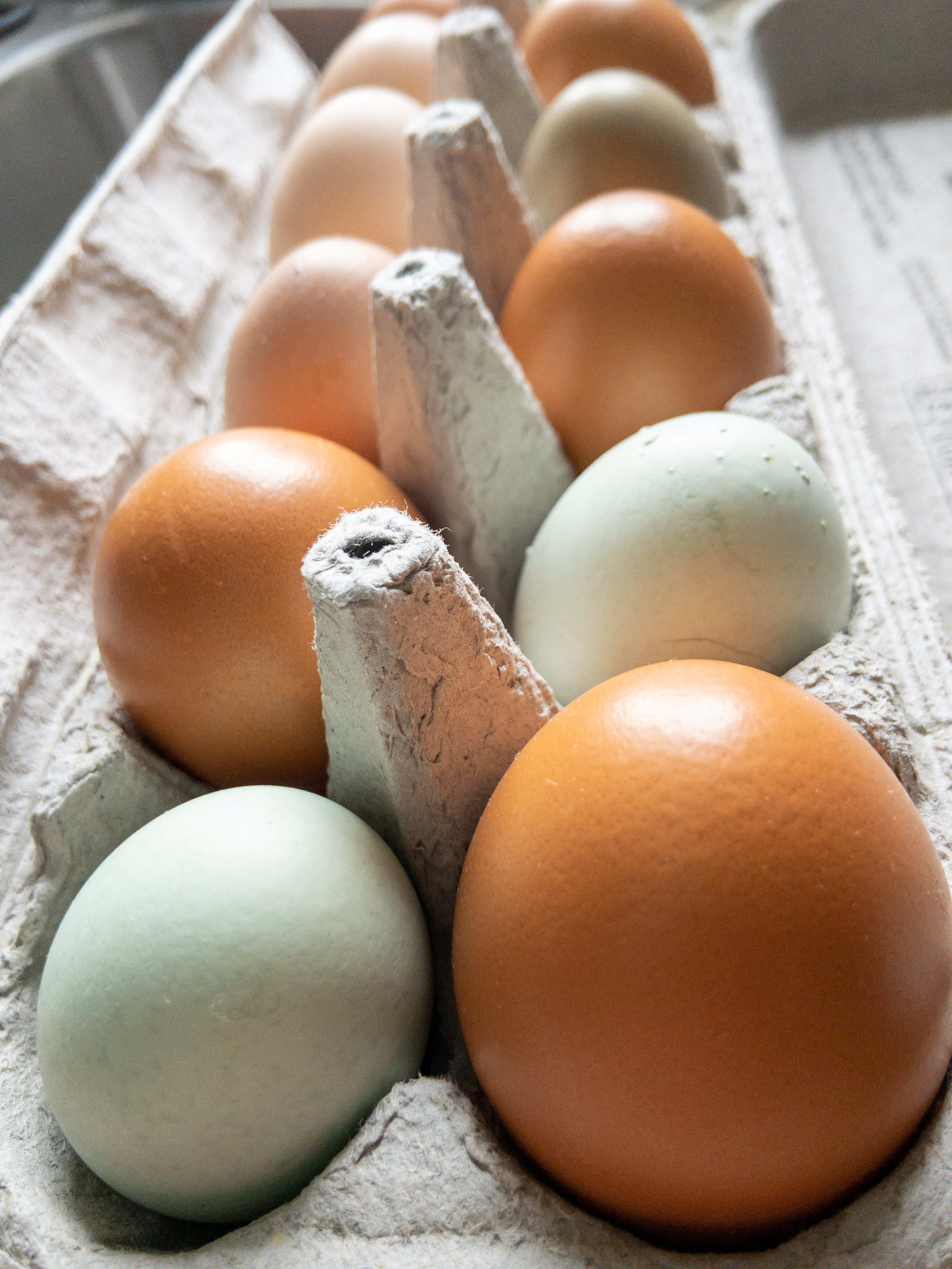 Farm Fresh Eggs $6.00 per dozen