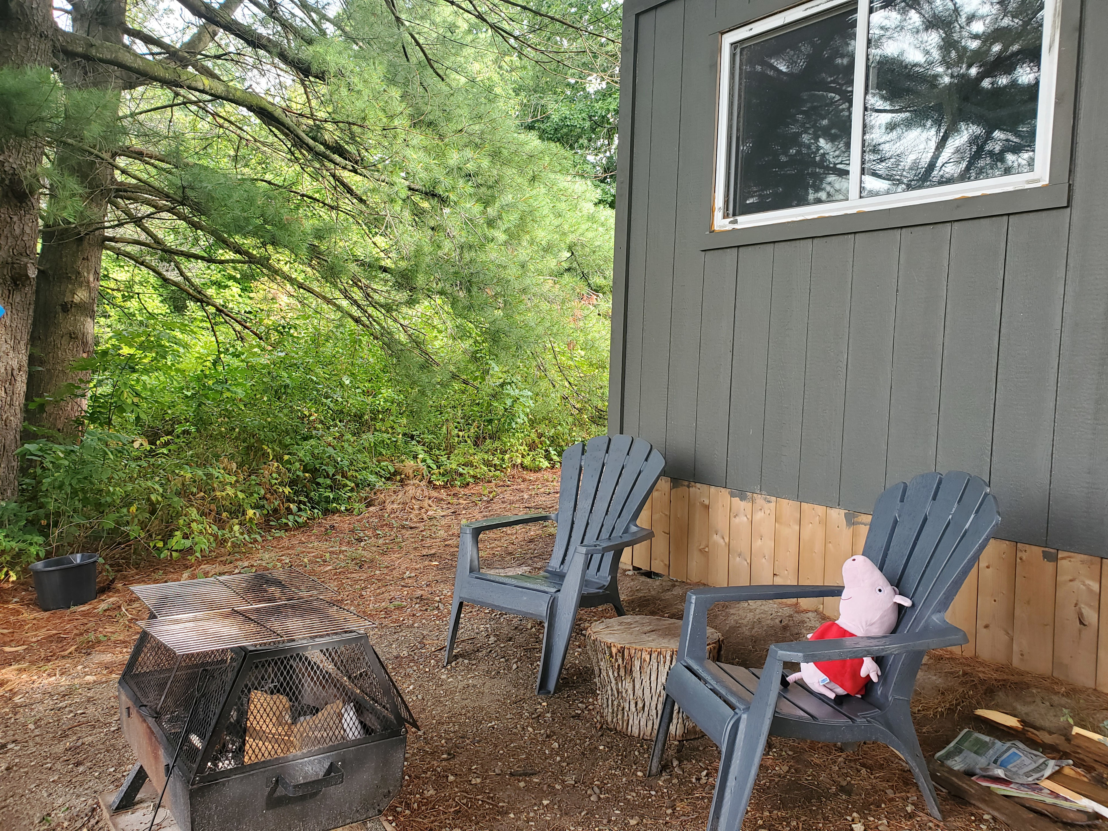 Bruce Trail Bunkie