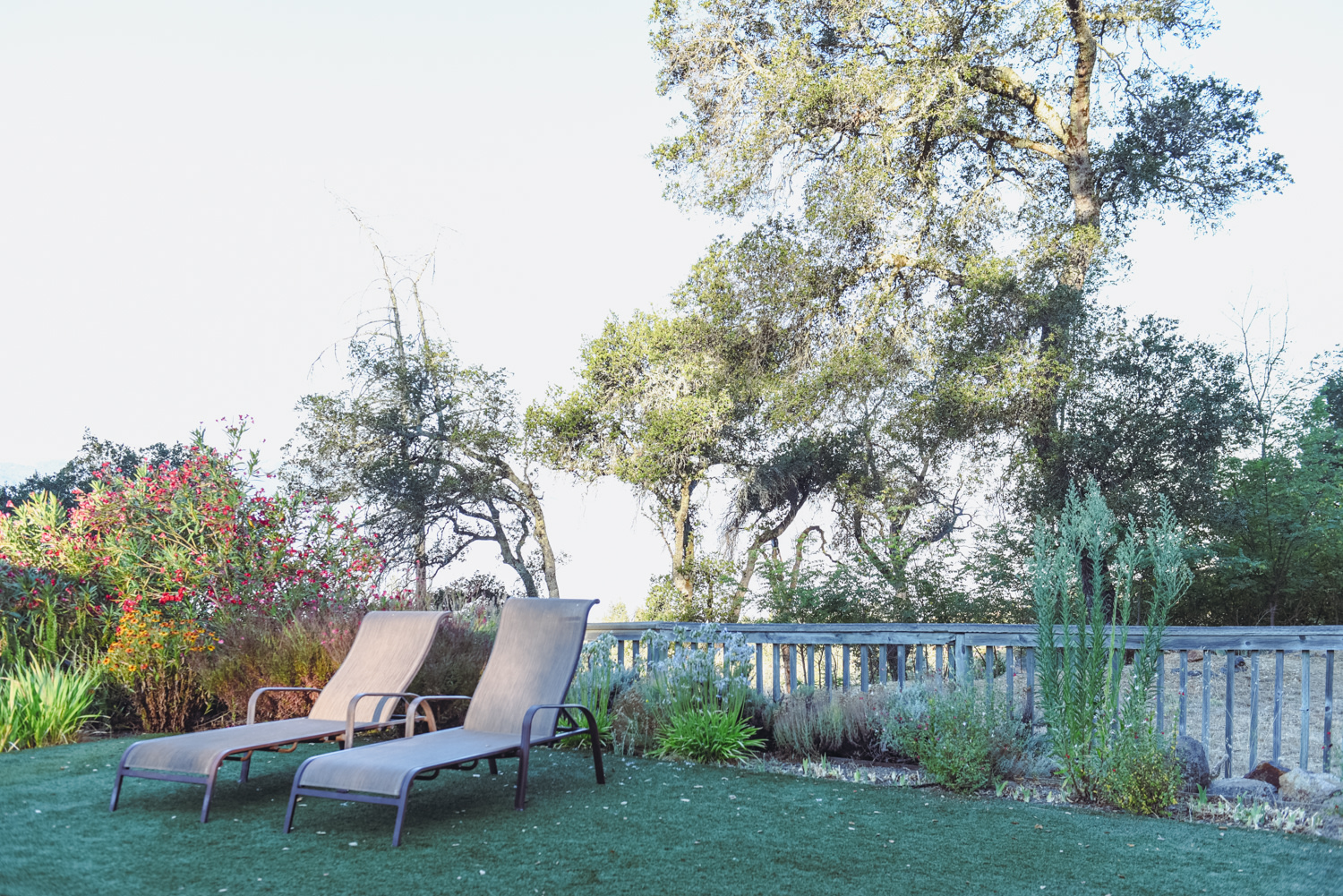 Above the Clouds RV Park