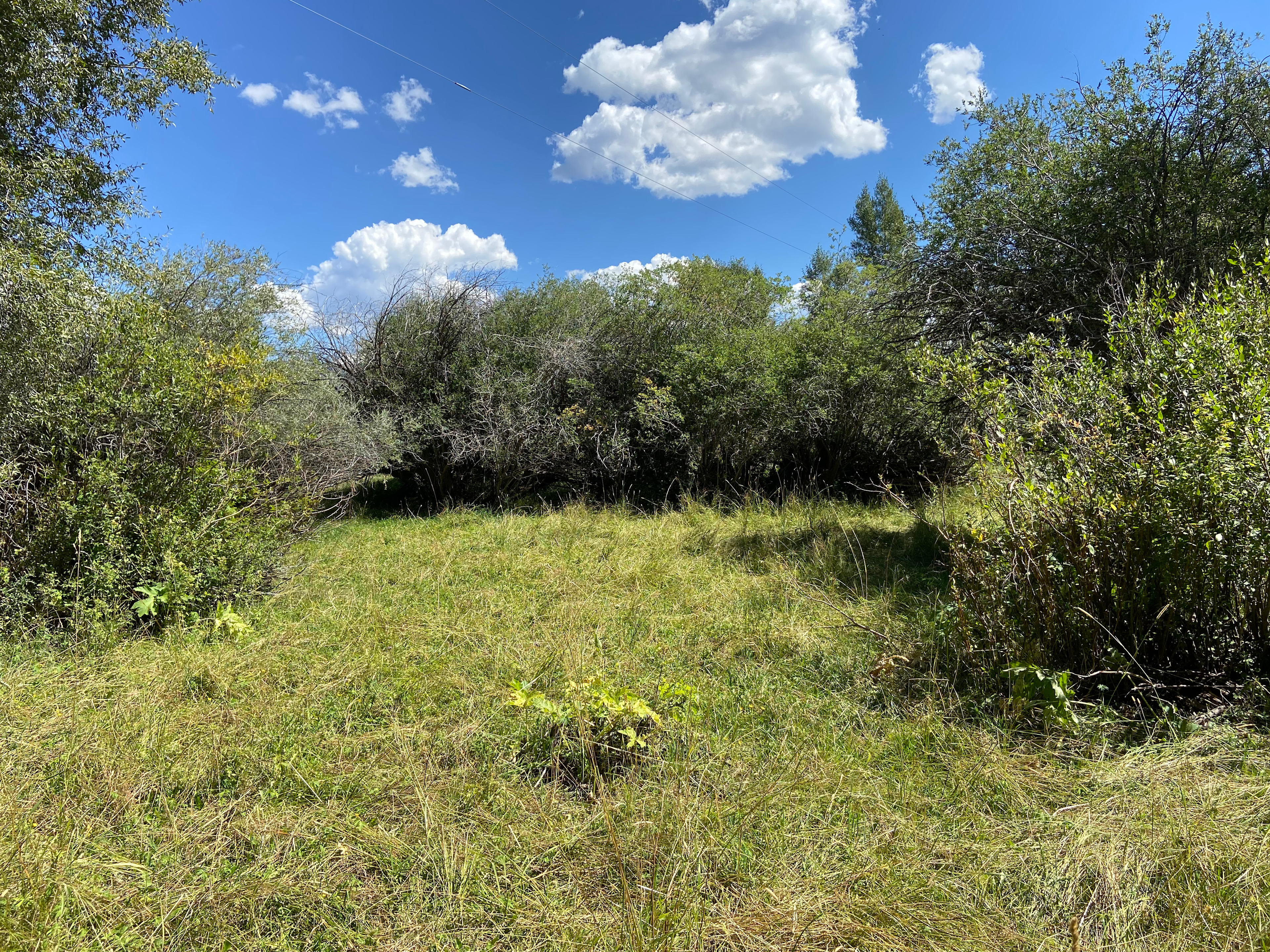 Valley of the Bear Ranch