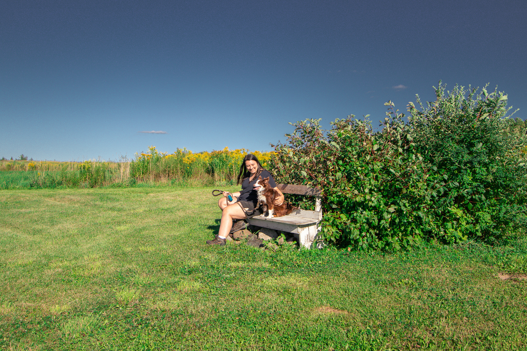 There is a bench that is perfect for enjoying the sunset