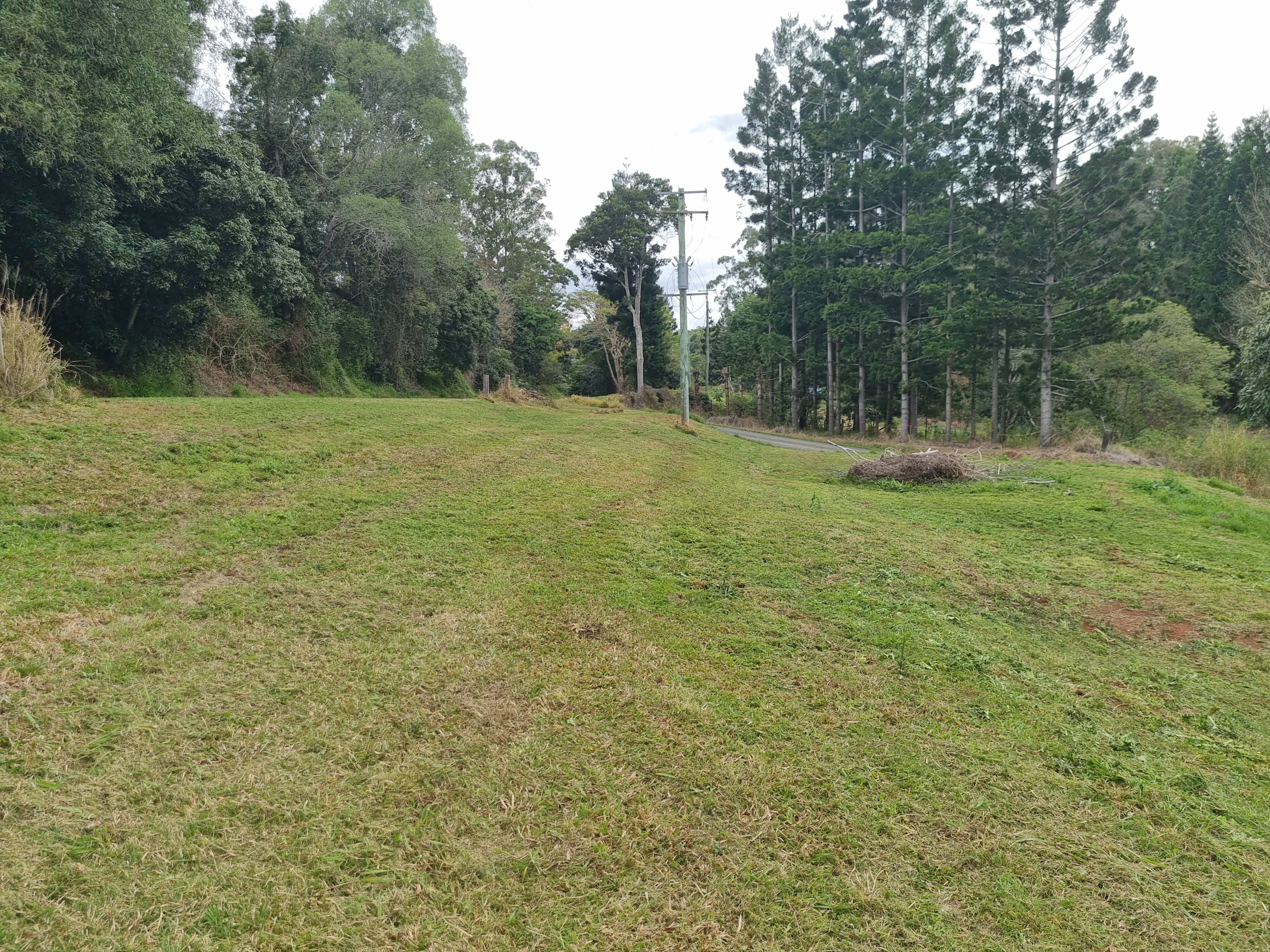 Red Gully rd Bush Camping