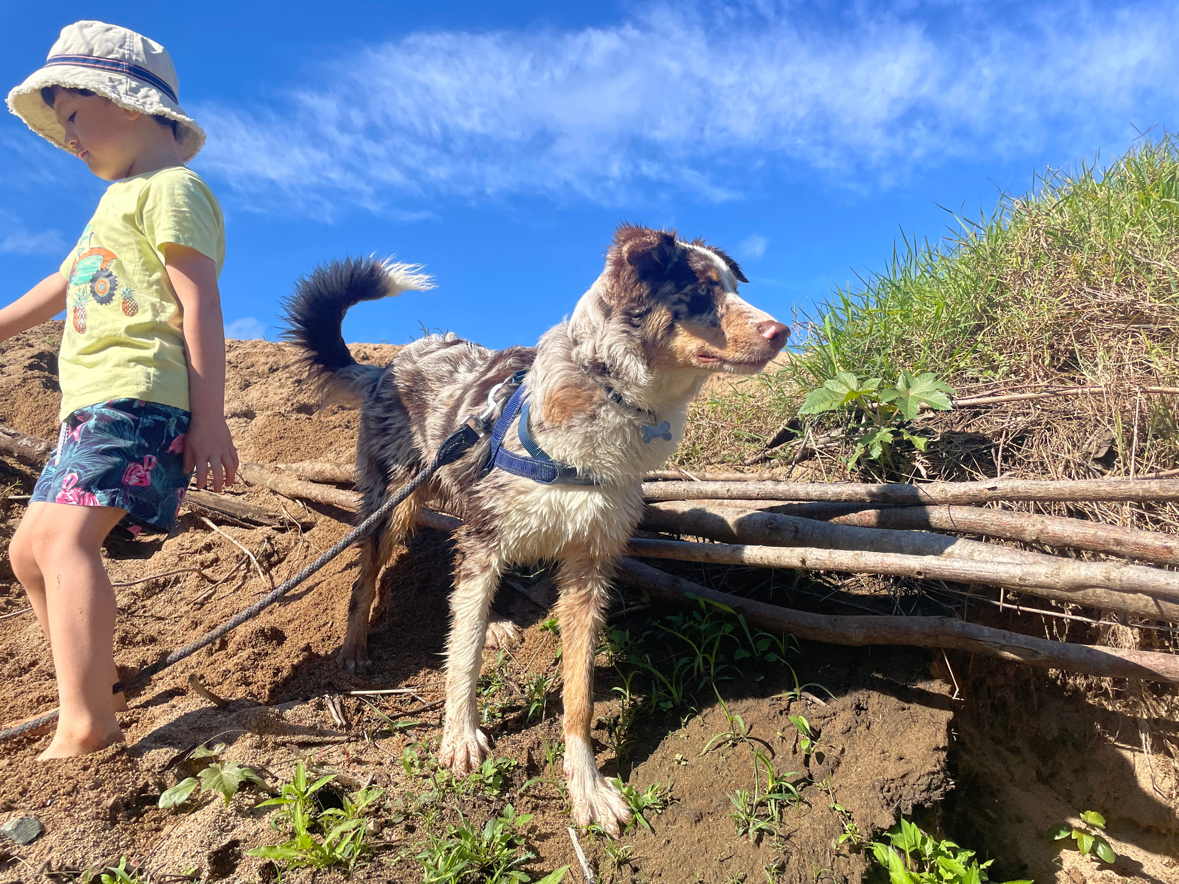 Guppy Gully on the Mary