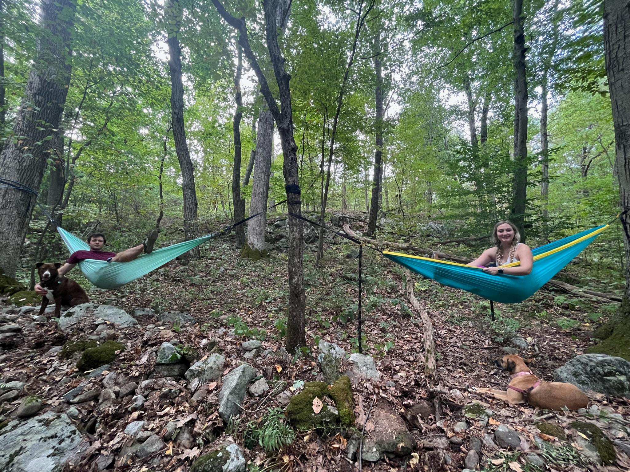 Jenny Jump Mountain